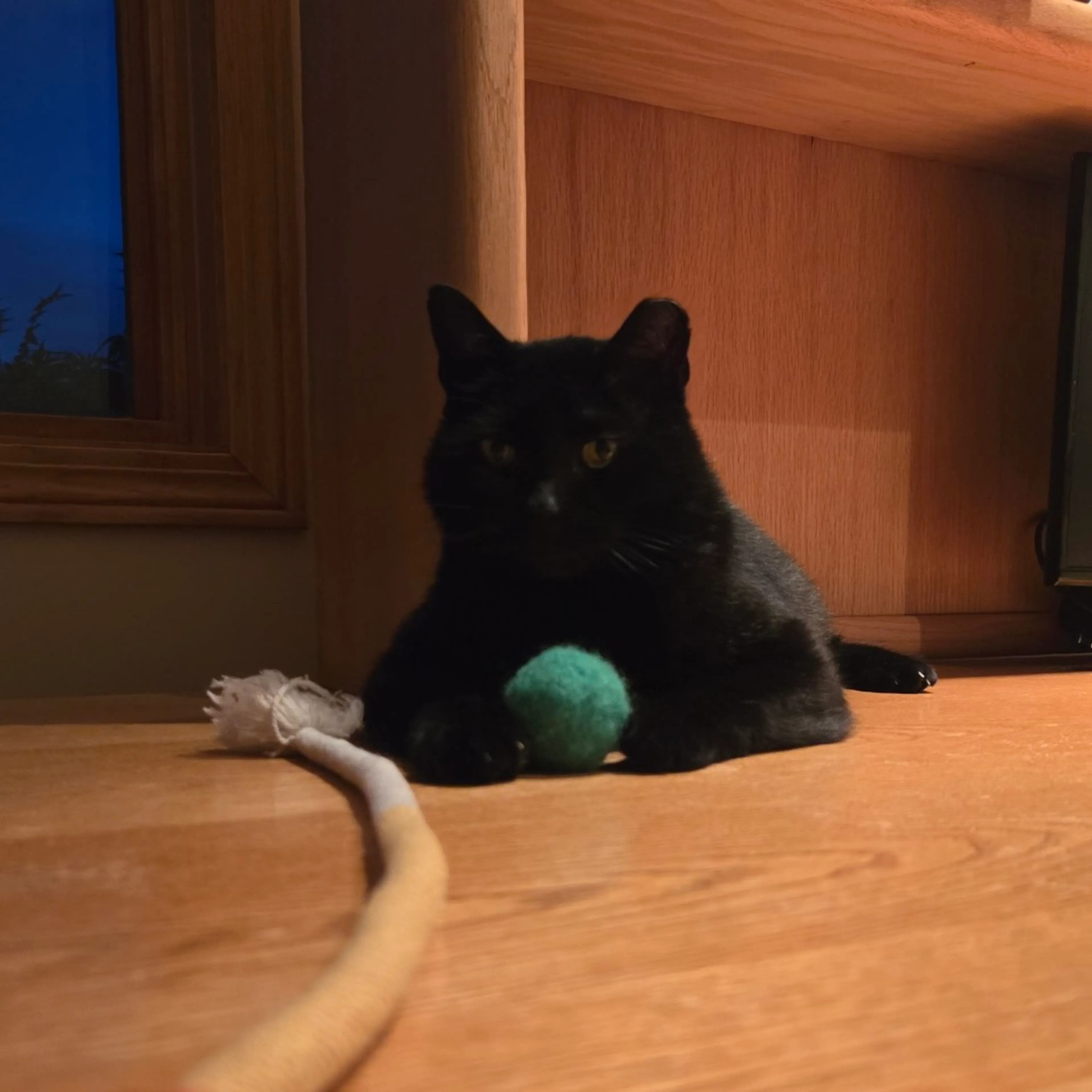 -8