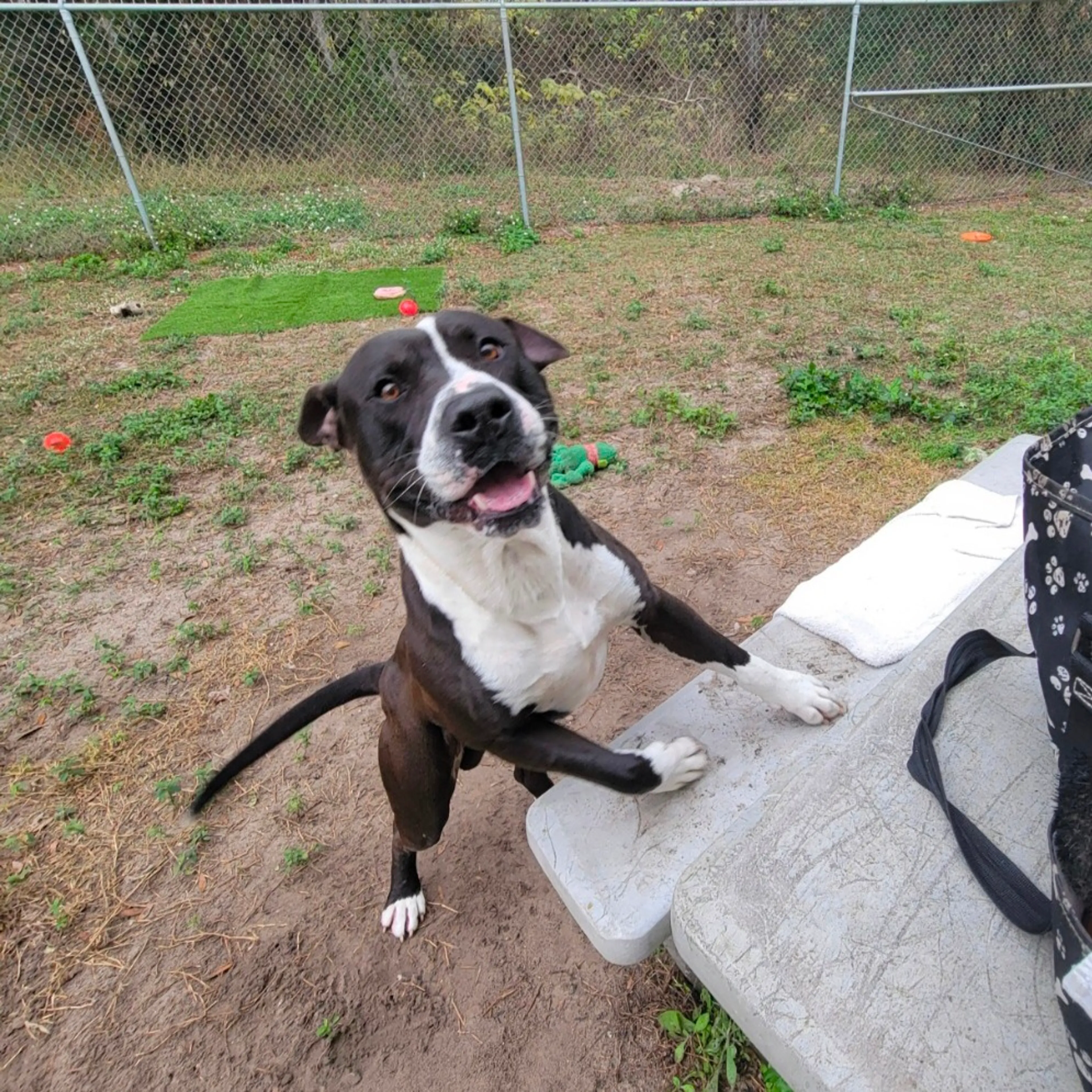 cdn image