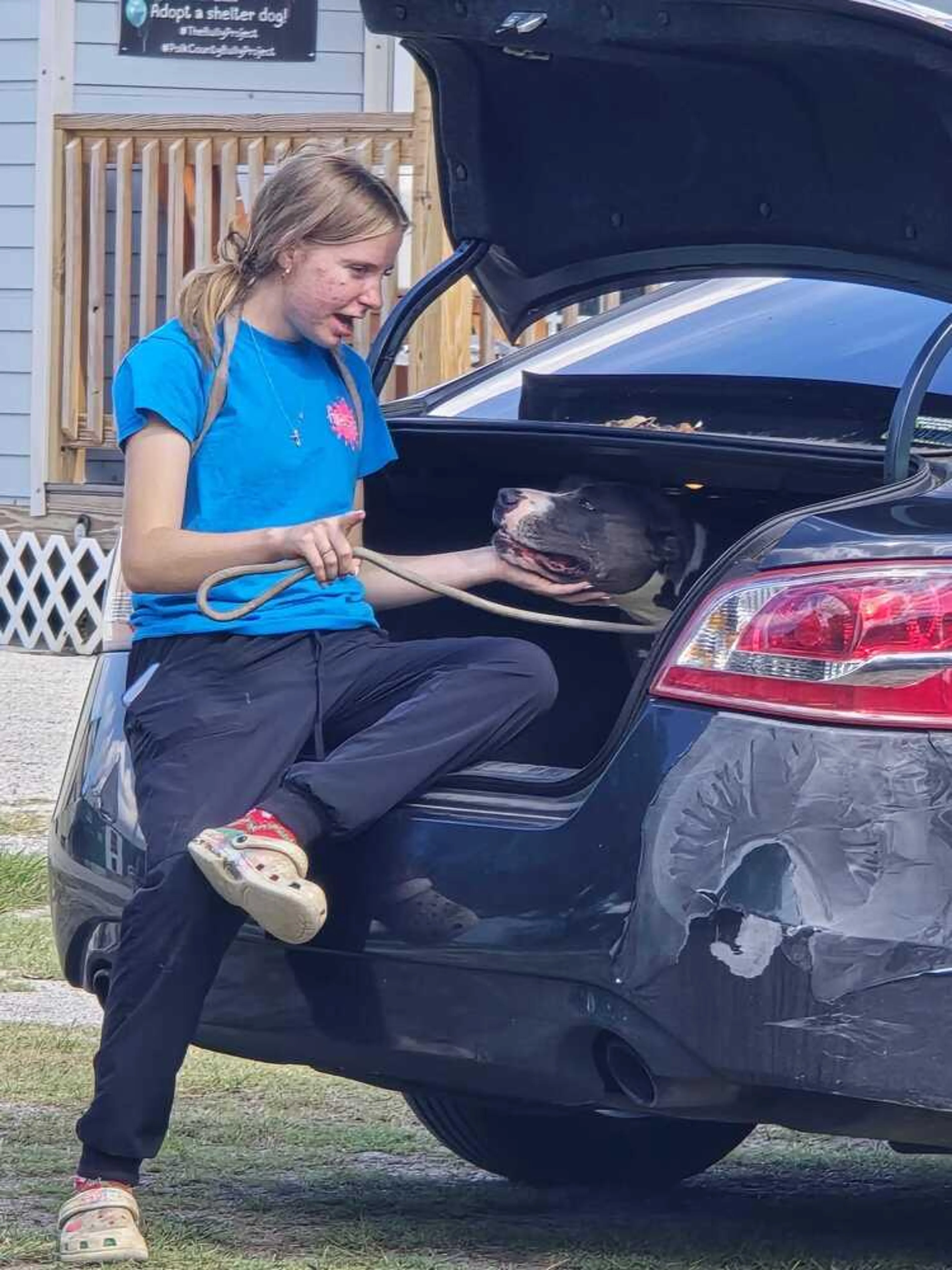 Found pet-4
