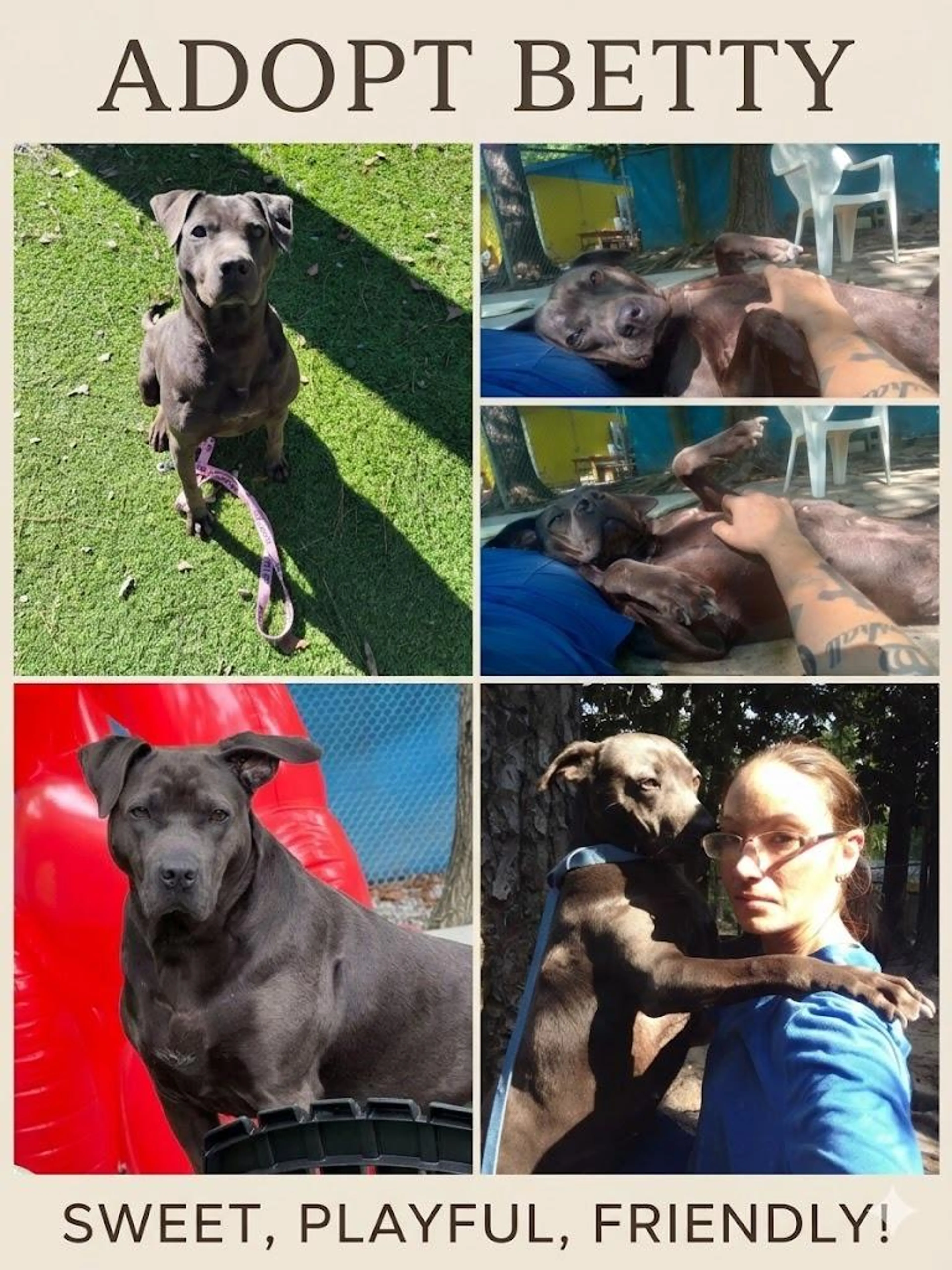 cdn image