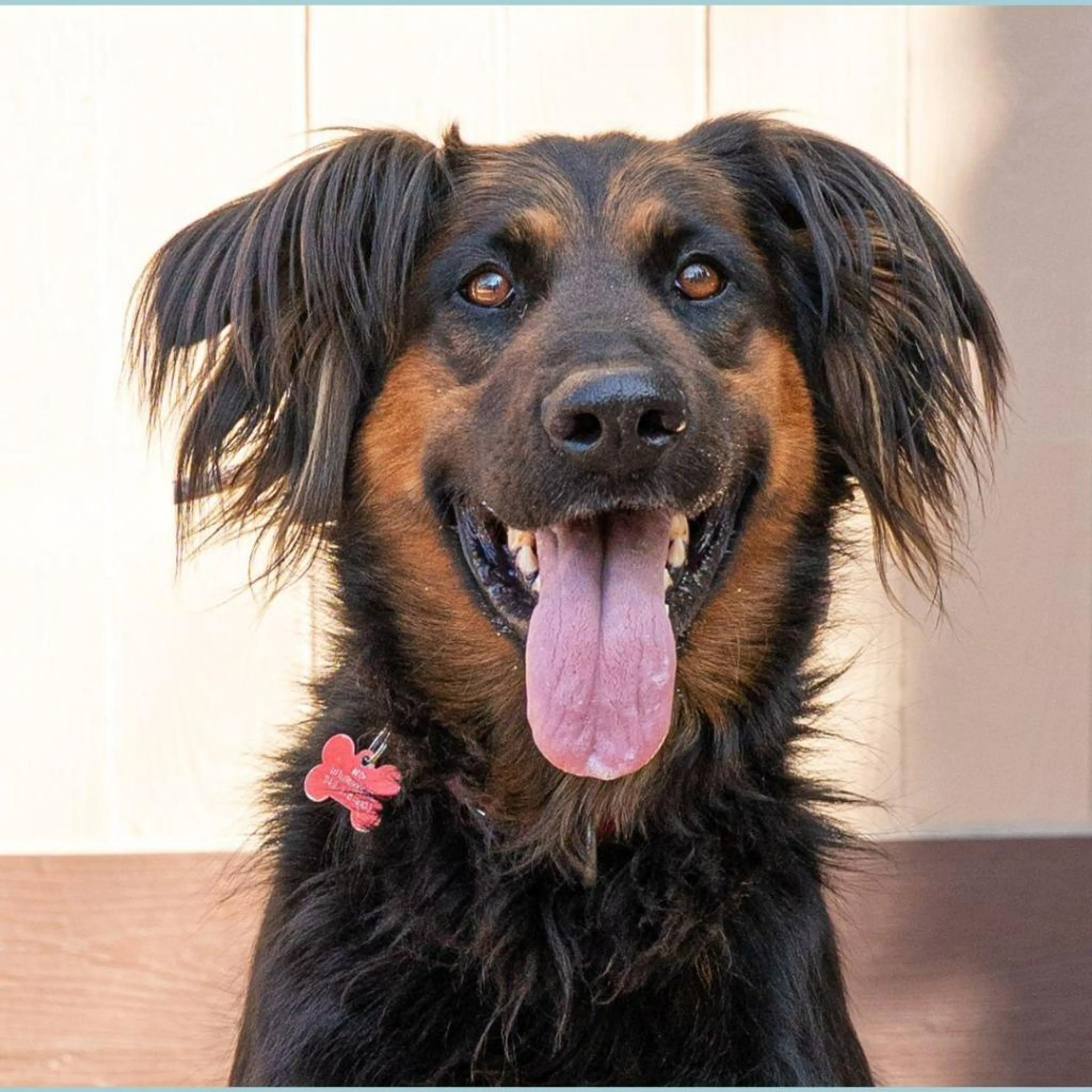 -4