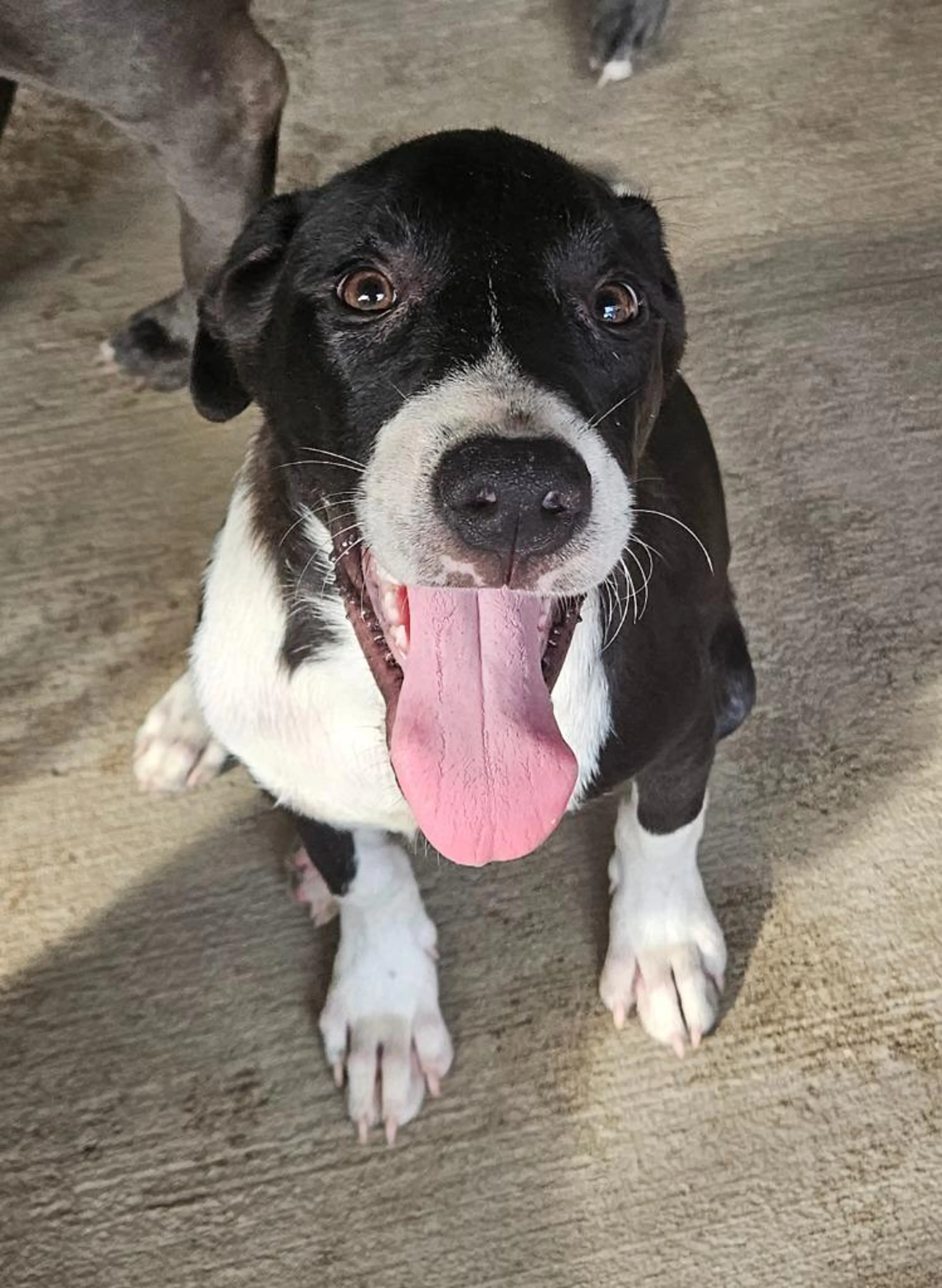 -4
