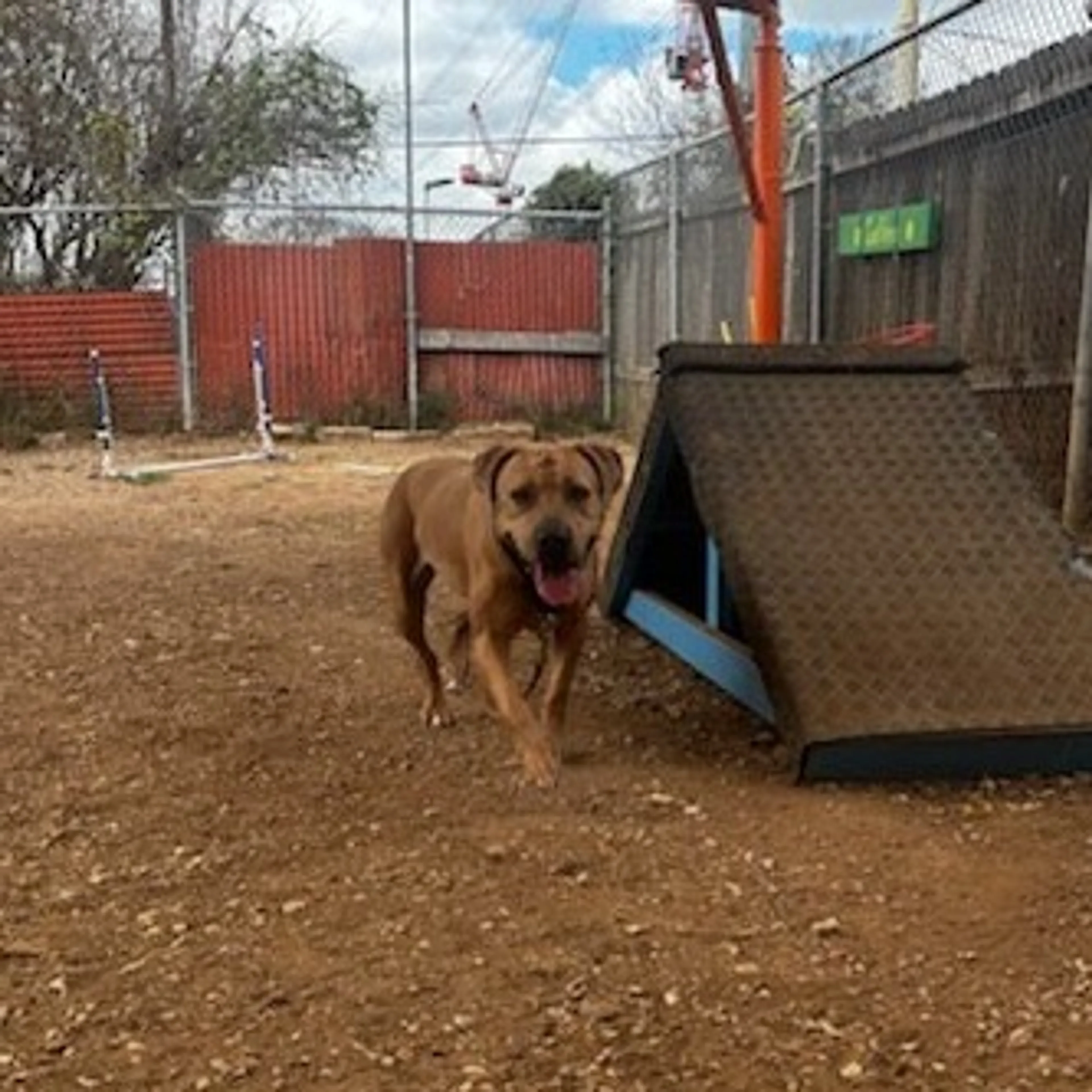-7