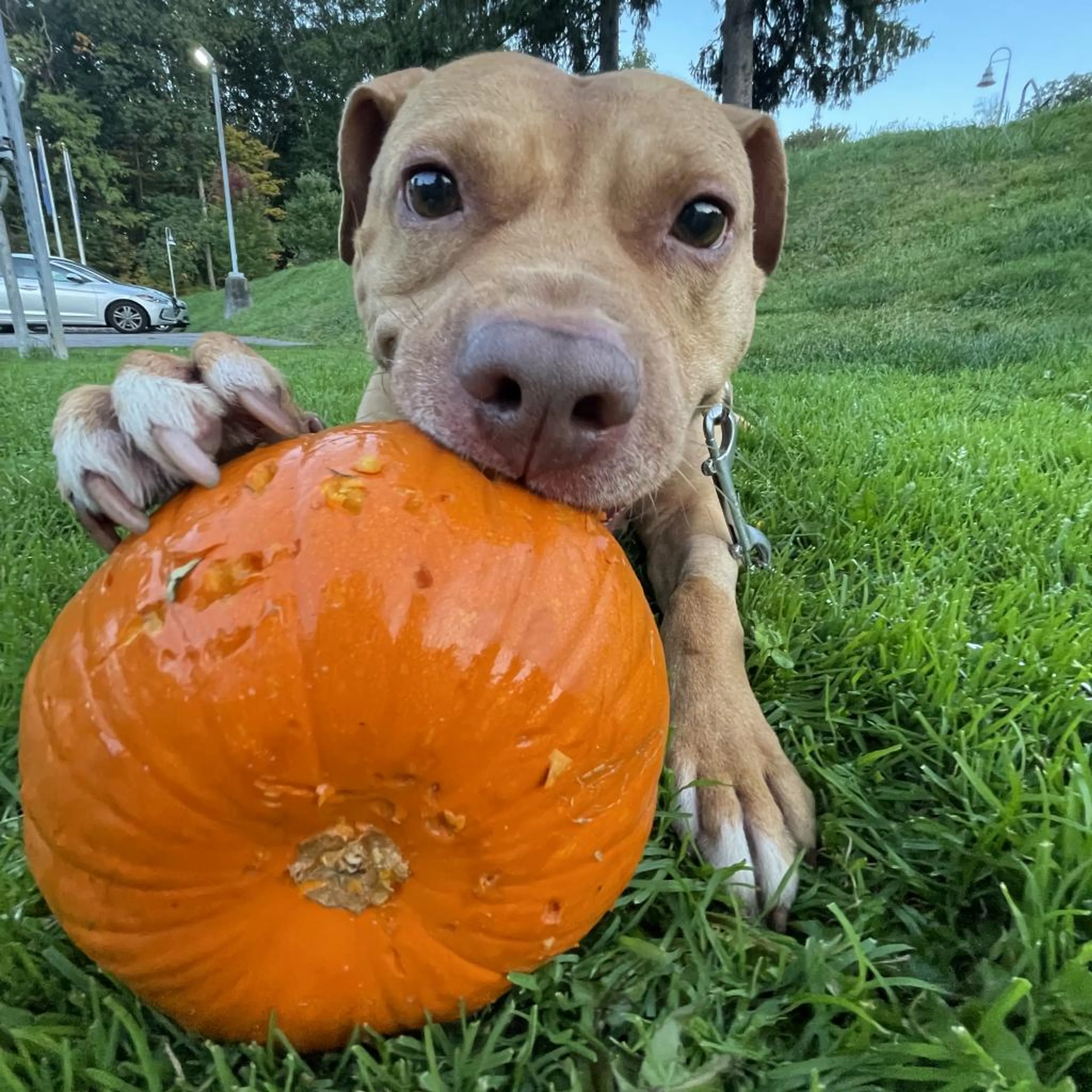 -12