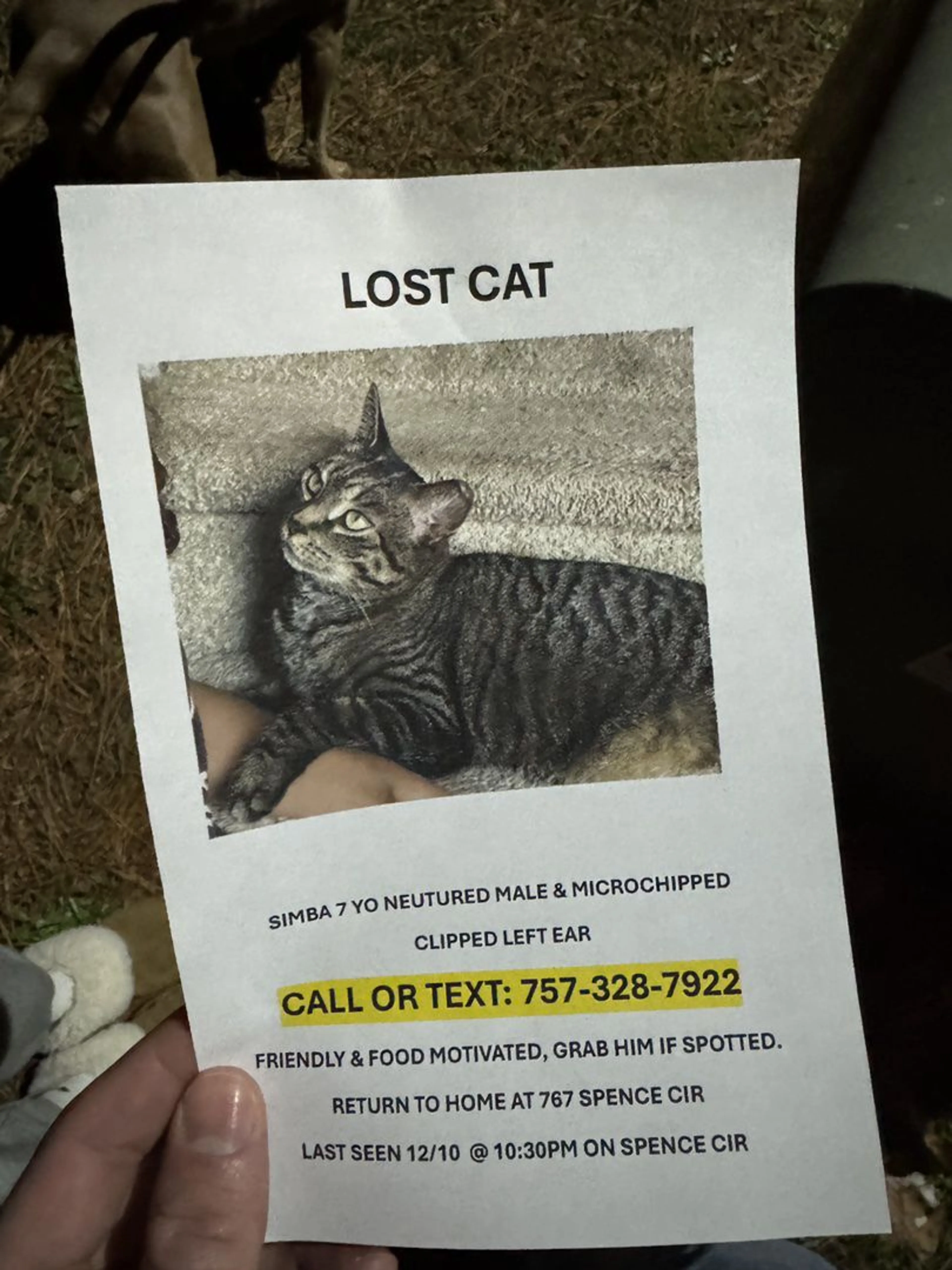 Lost pet