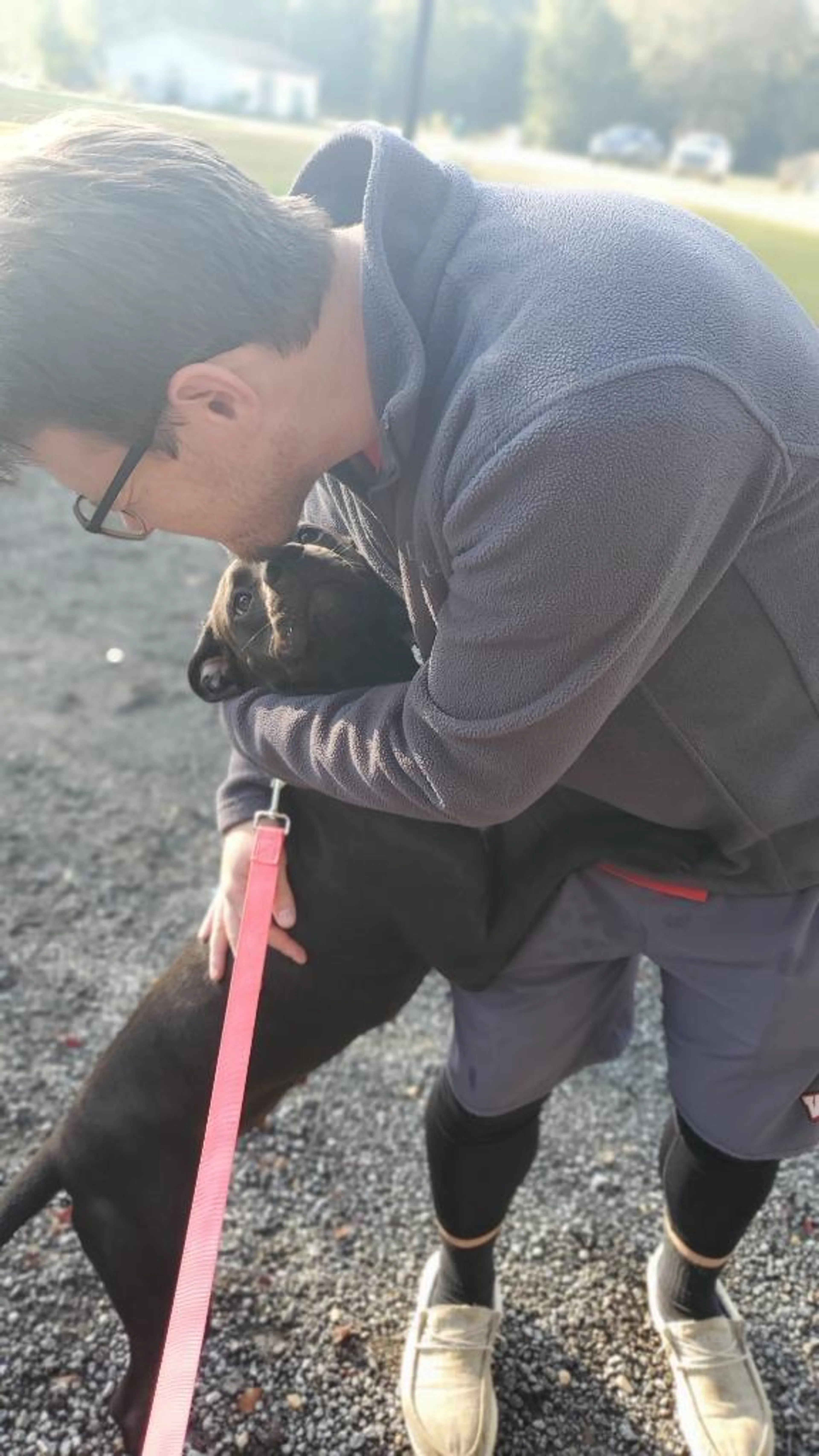 Found pet-5