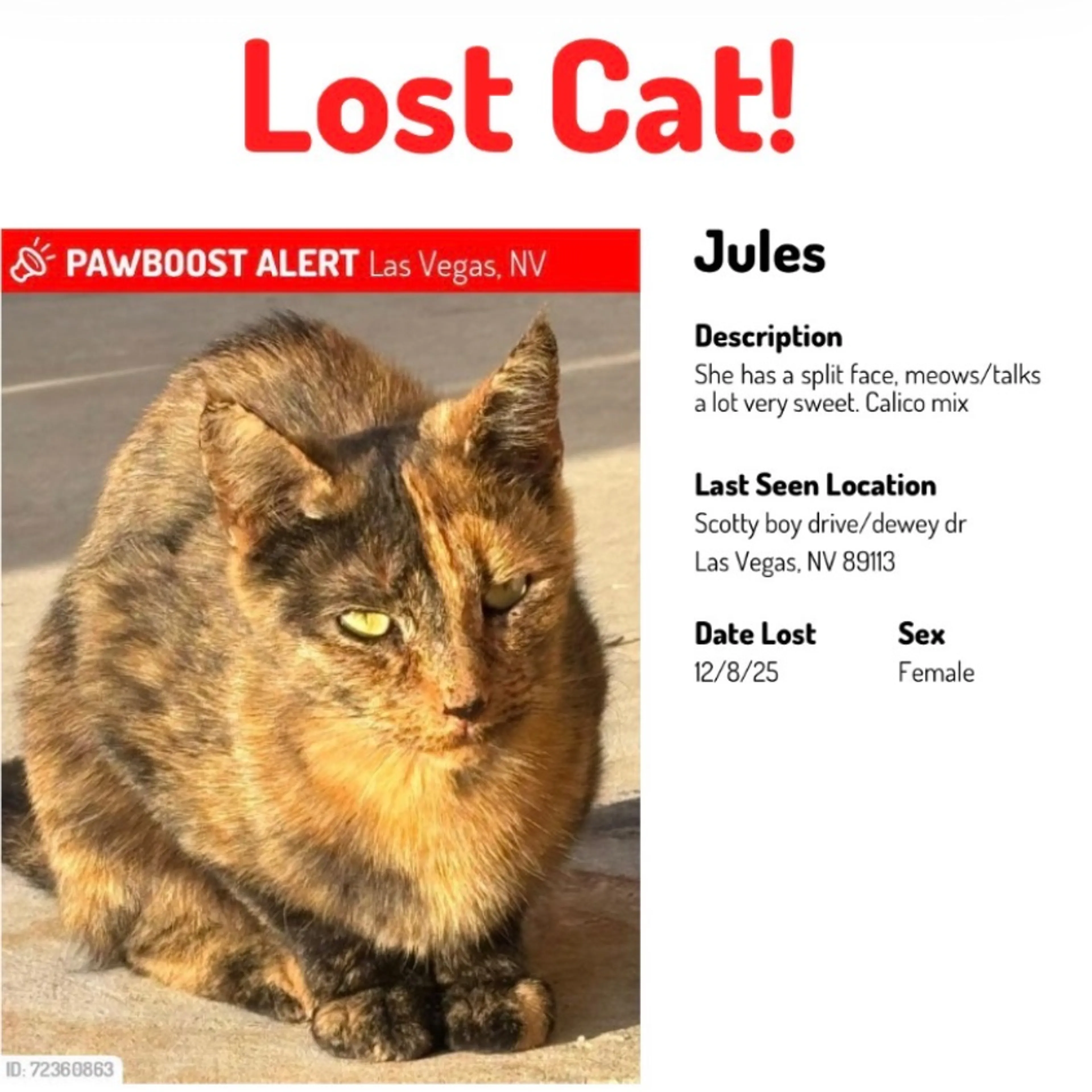 Lost pet