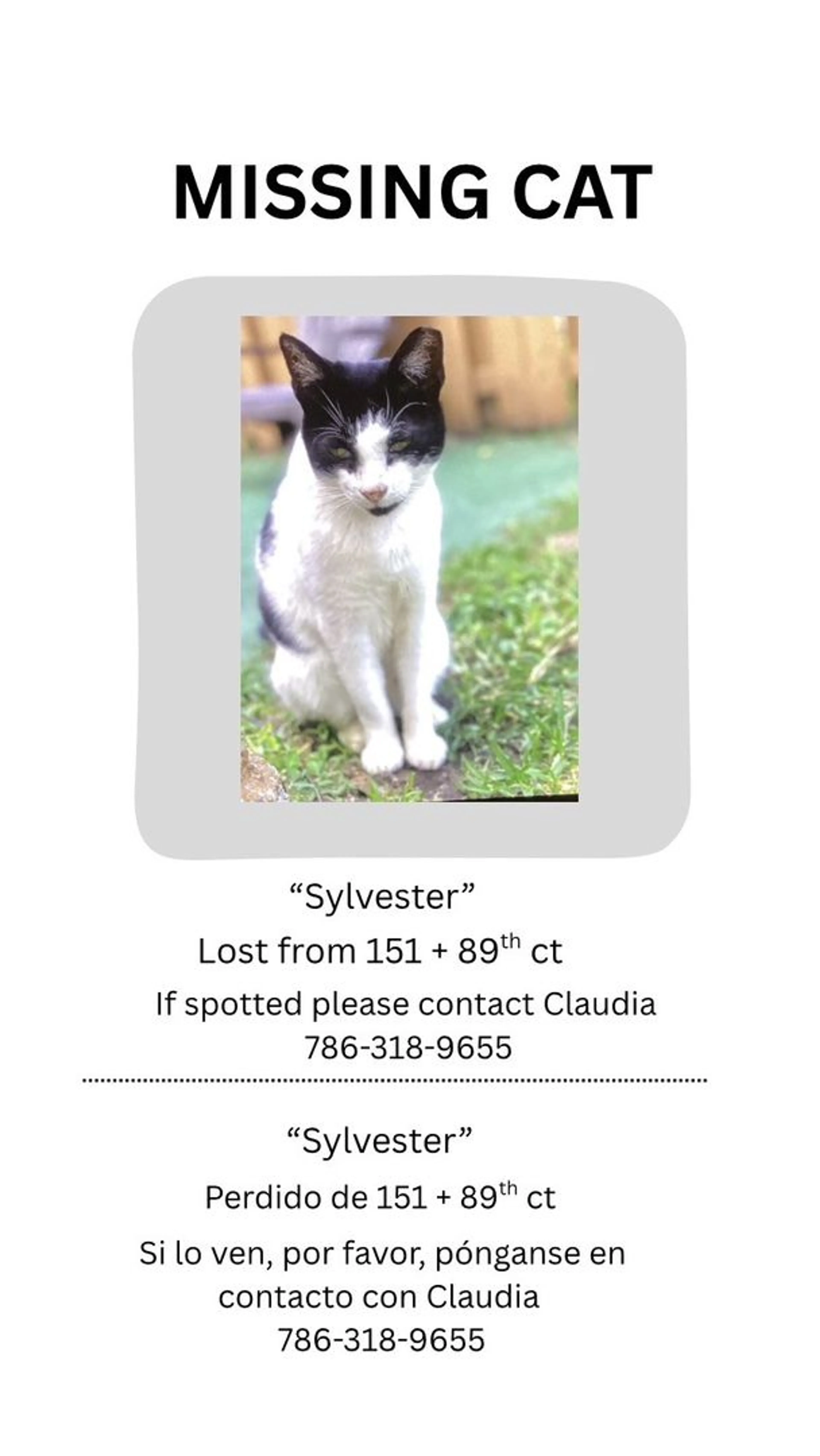 Lost pet
