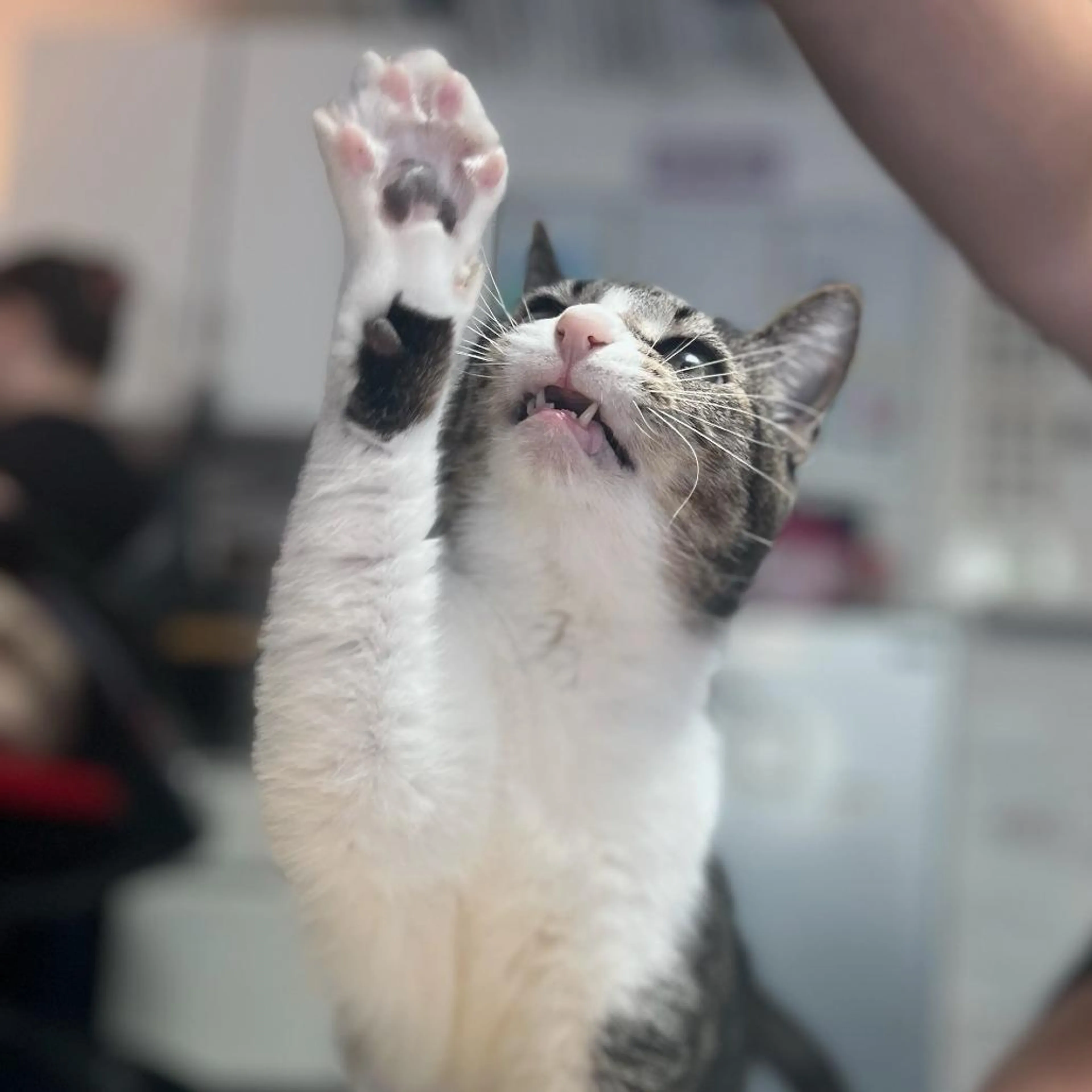 -1