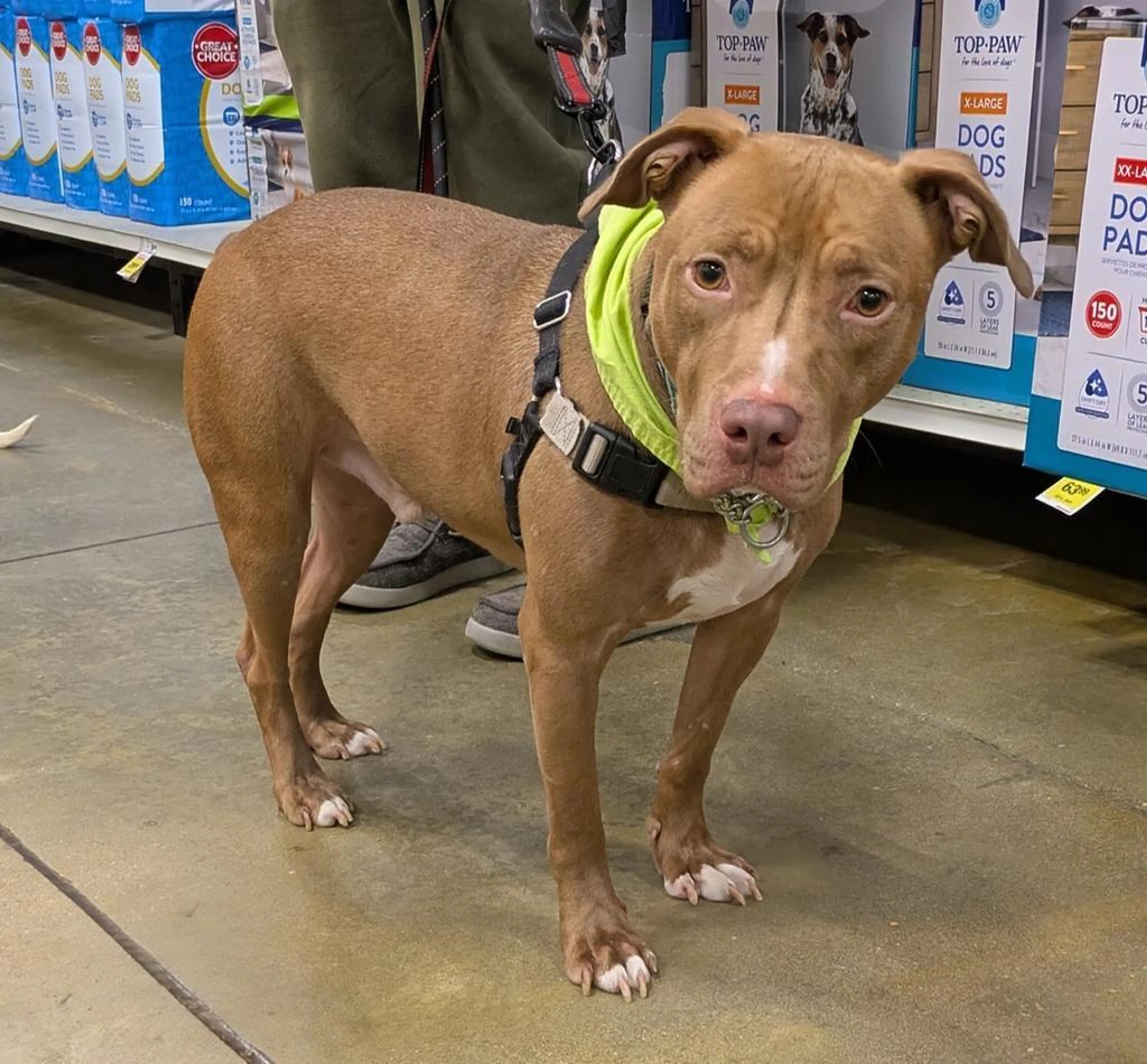 -4