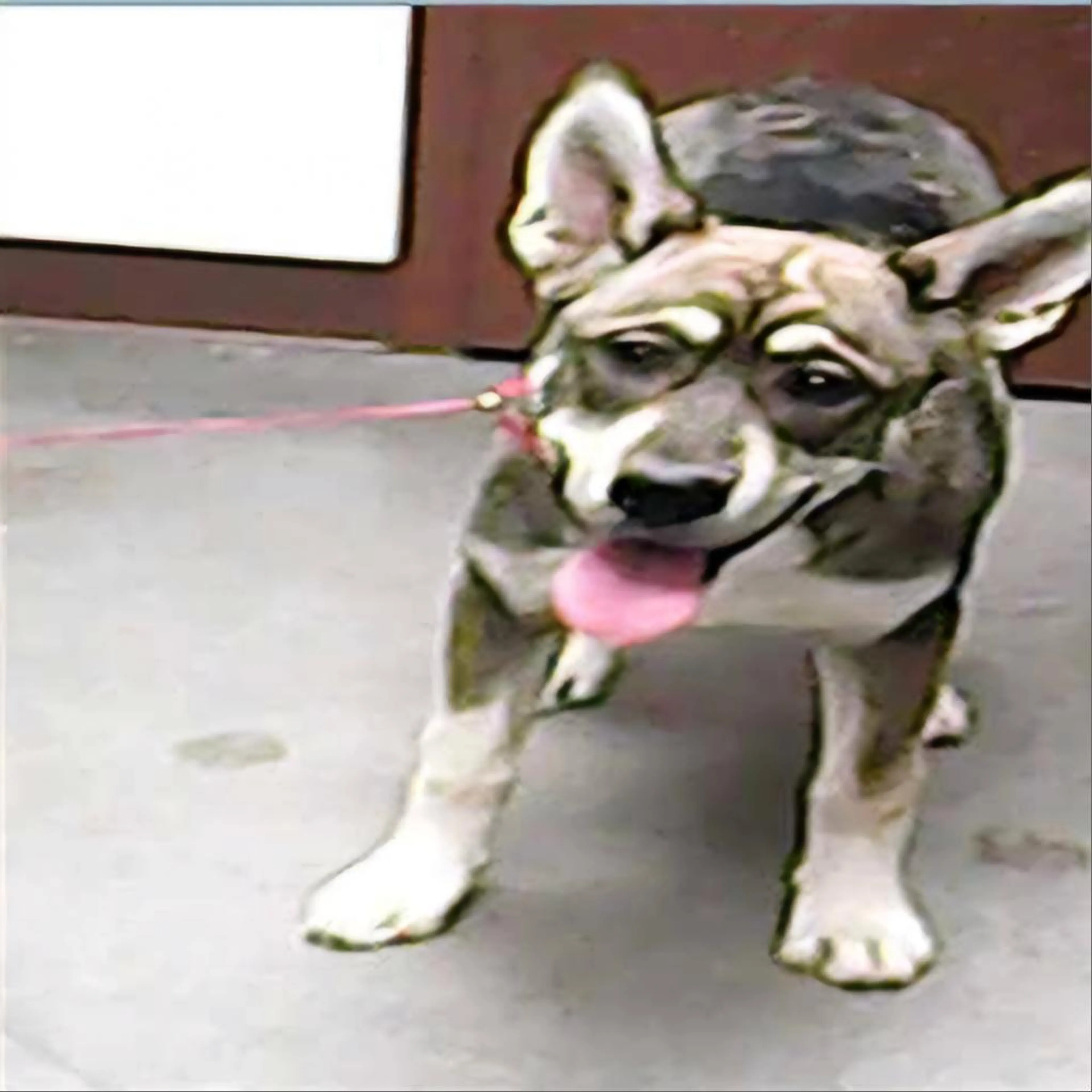 cdn image