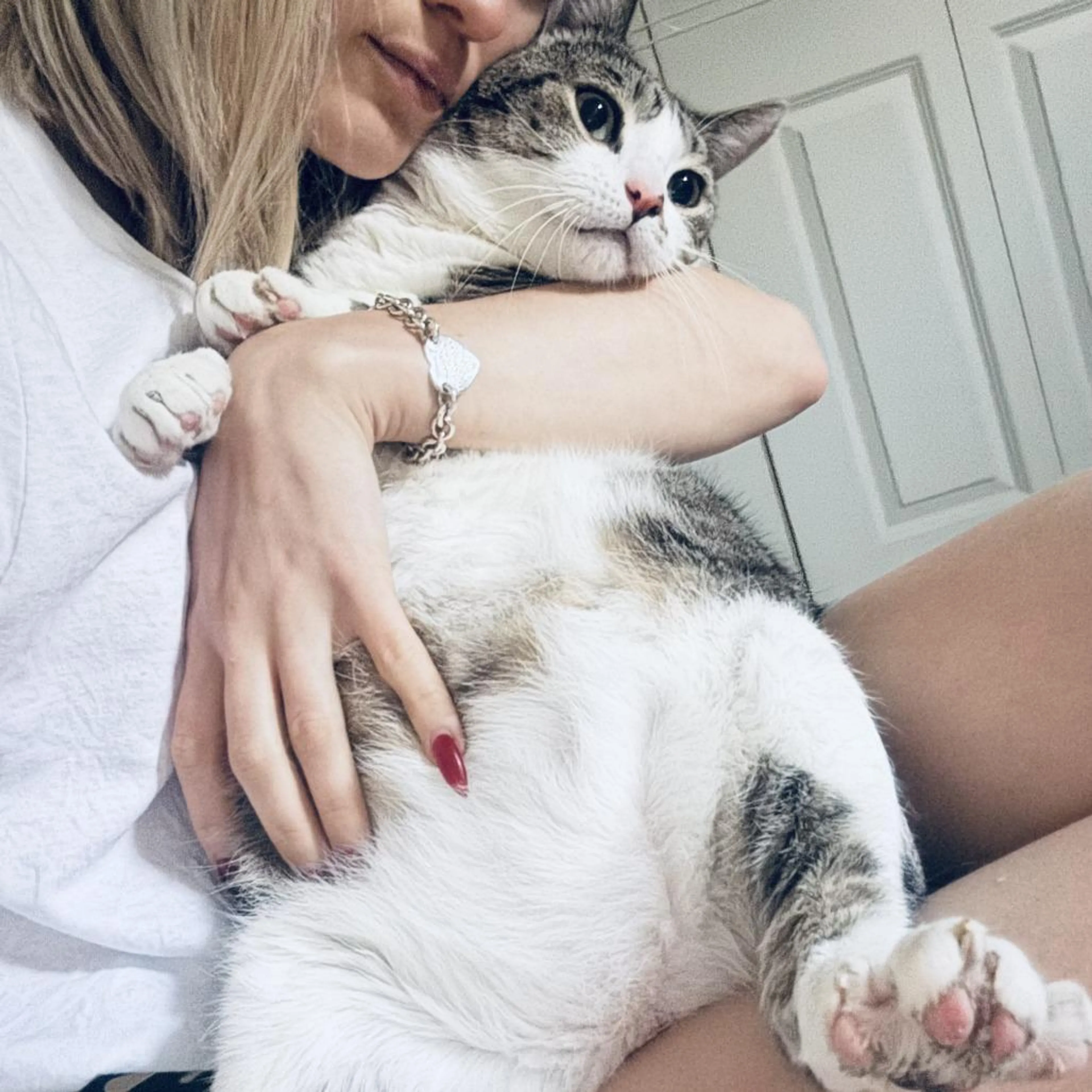 Found pet-3