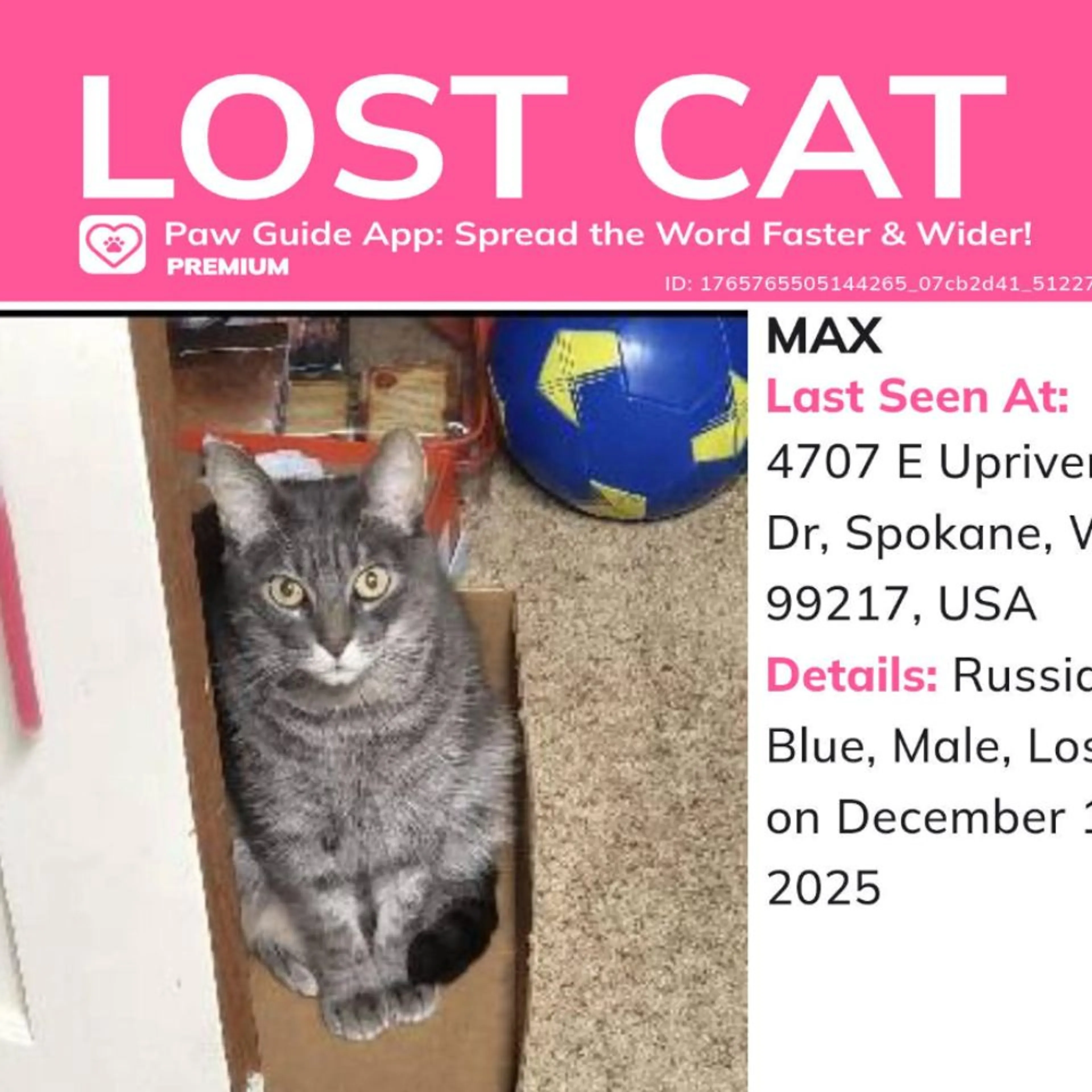 Lost pet