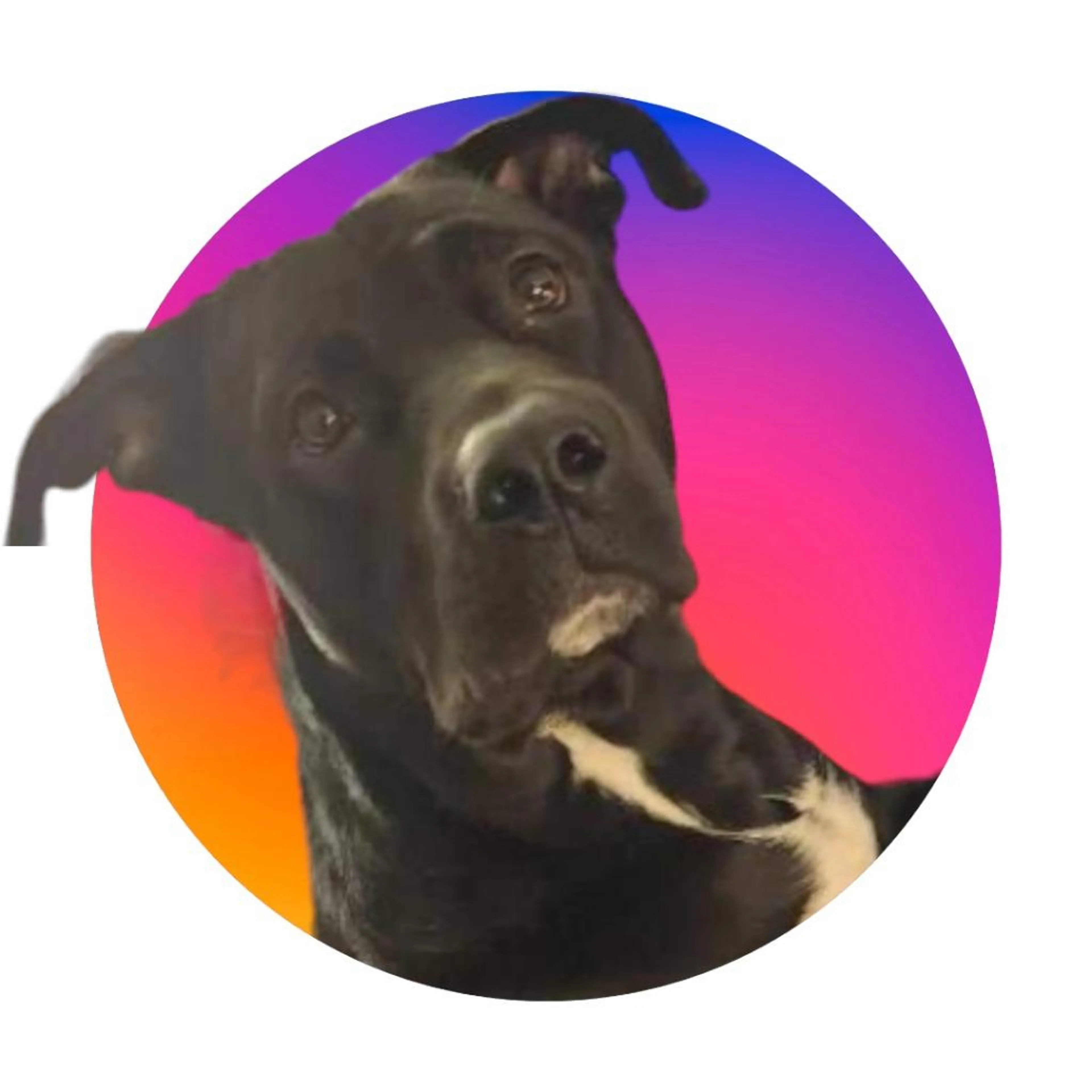 cdn image