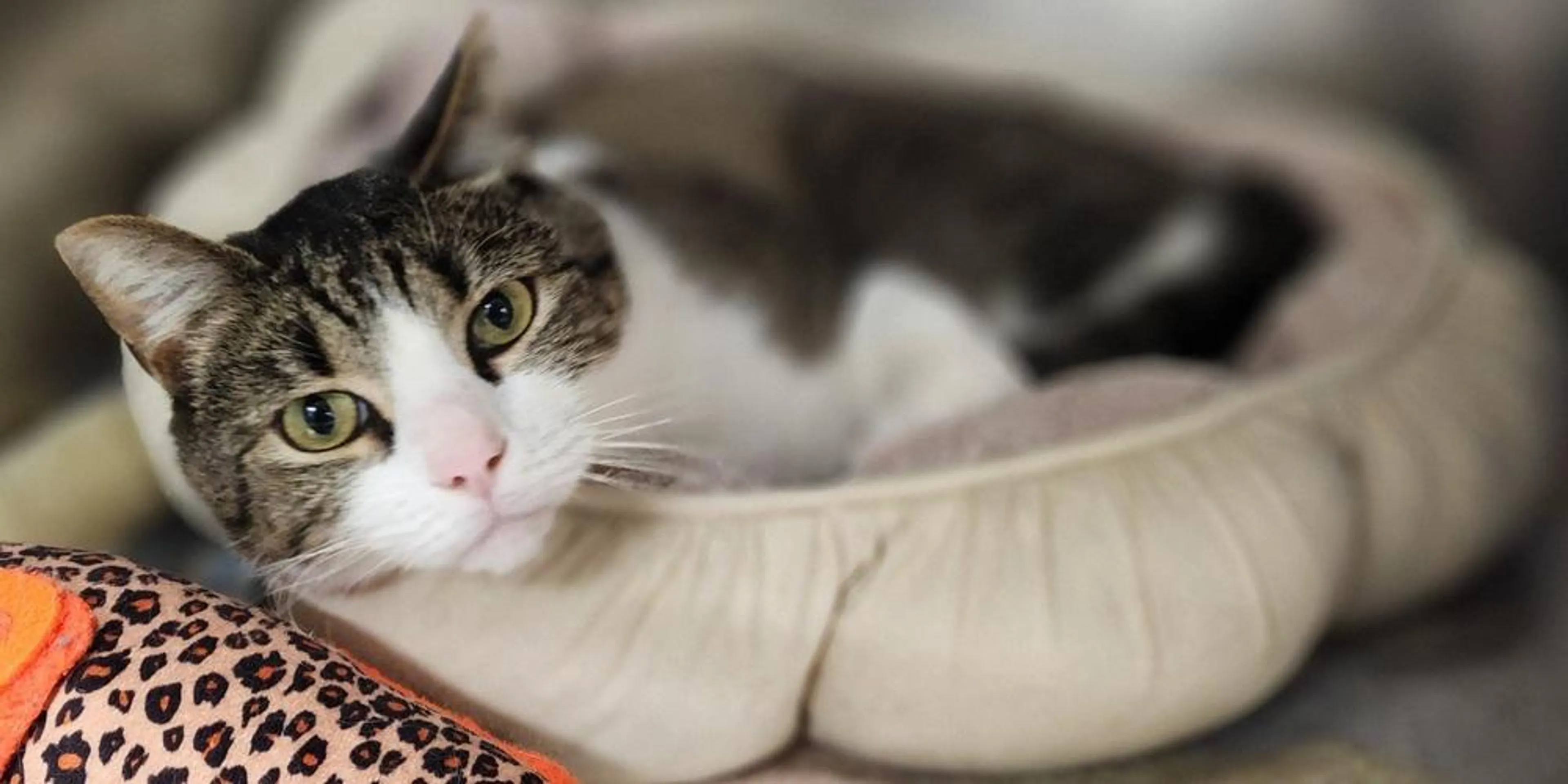 -0