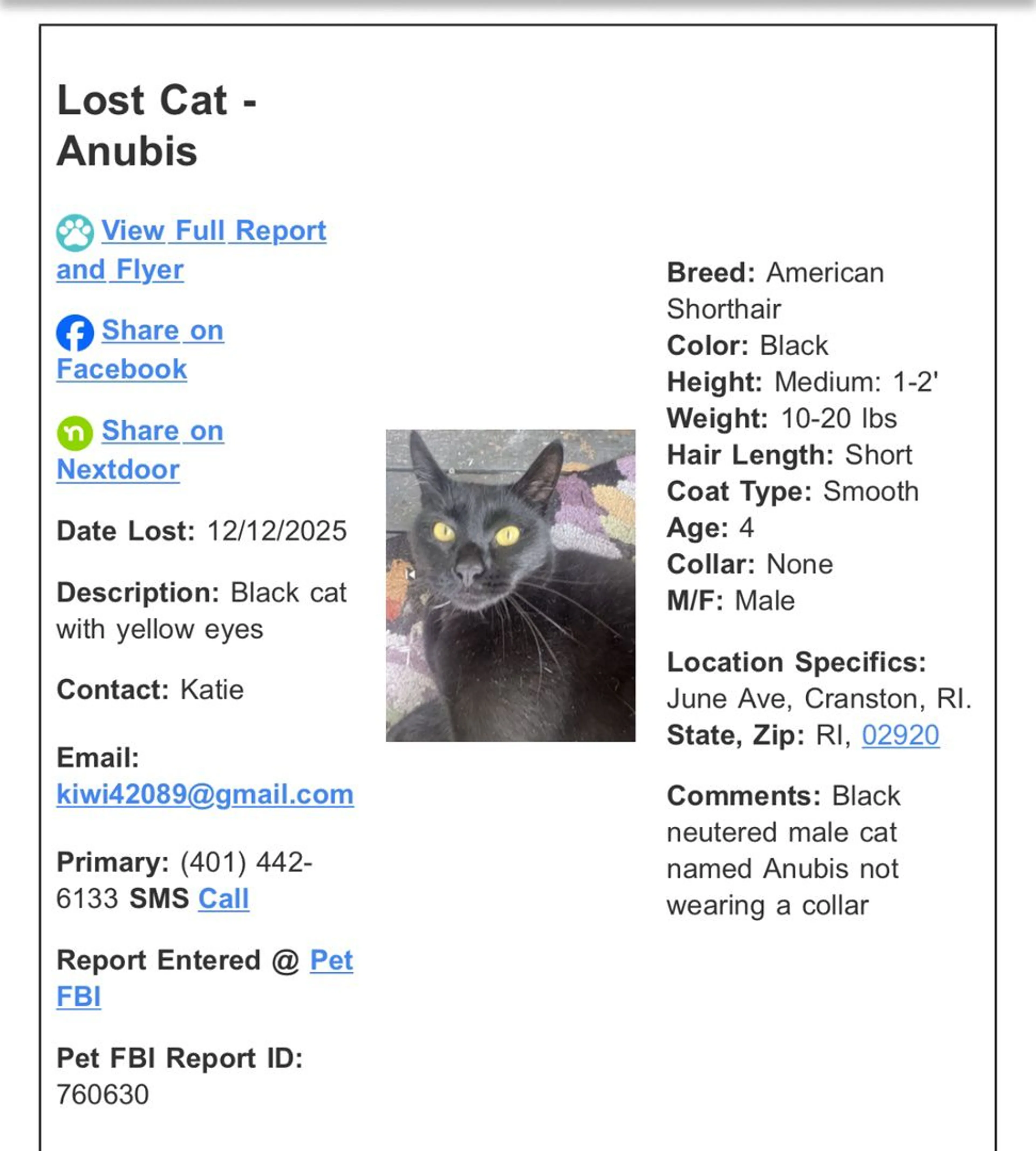 Lost pet