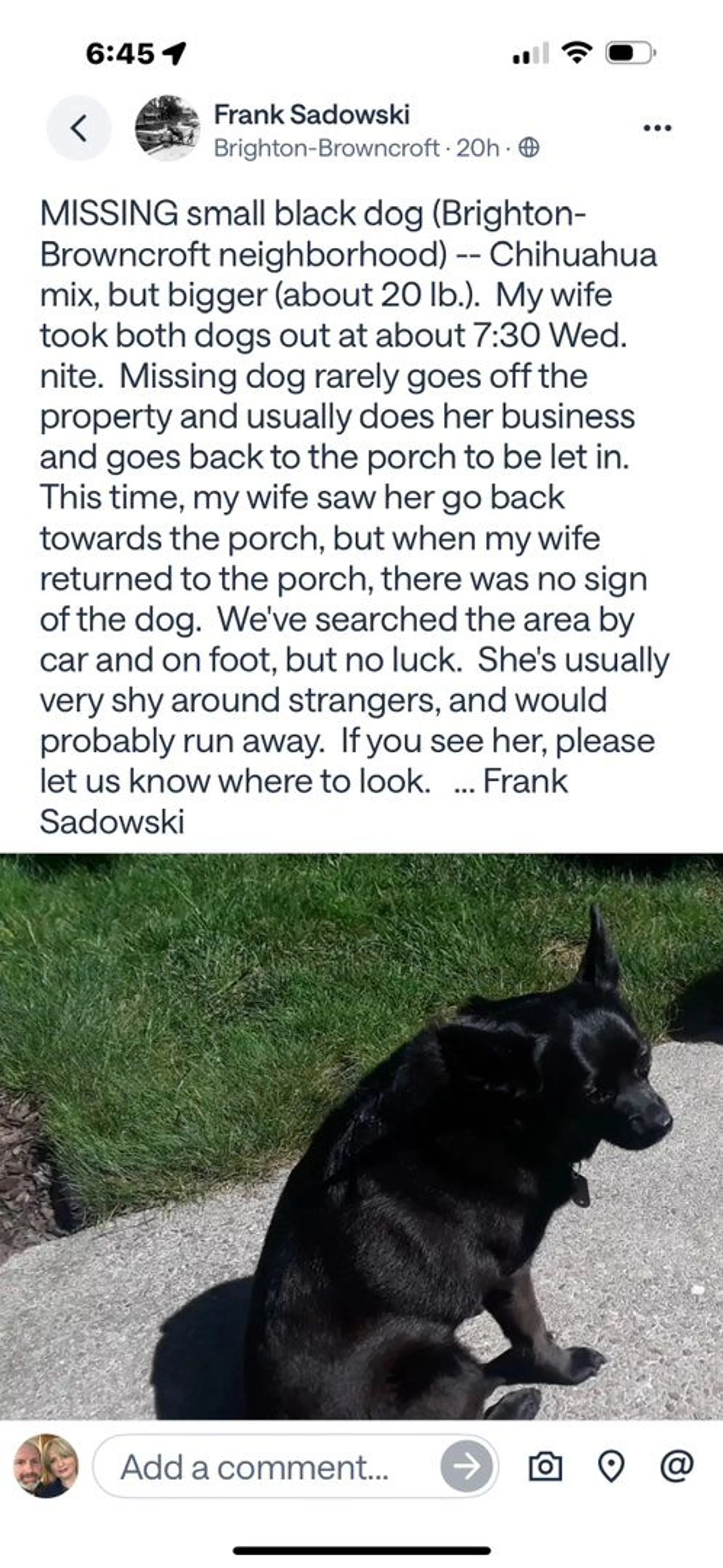 Lost pet