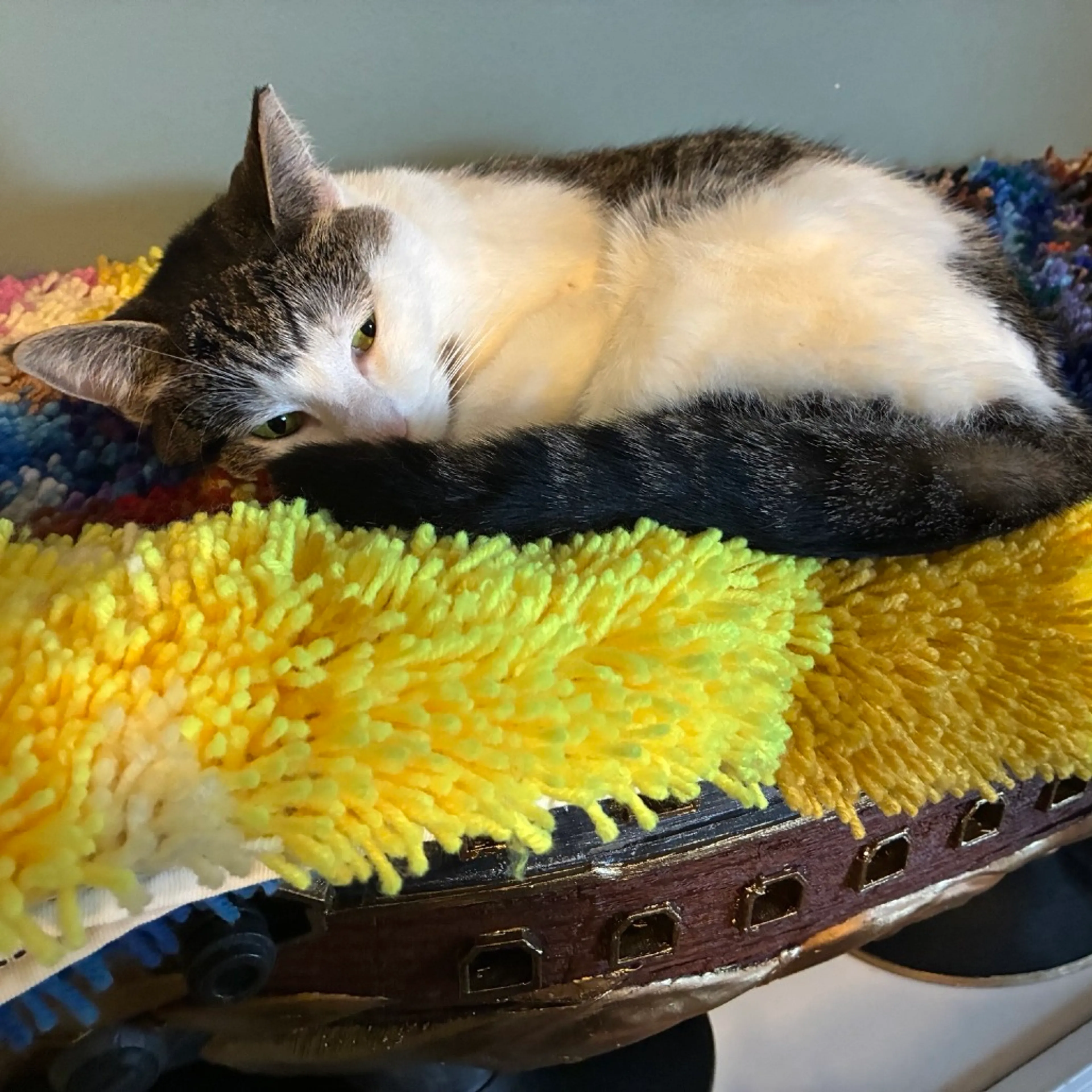 Found pet-21