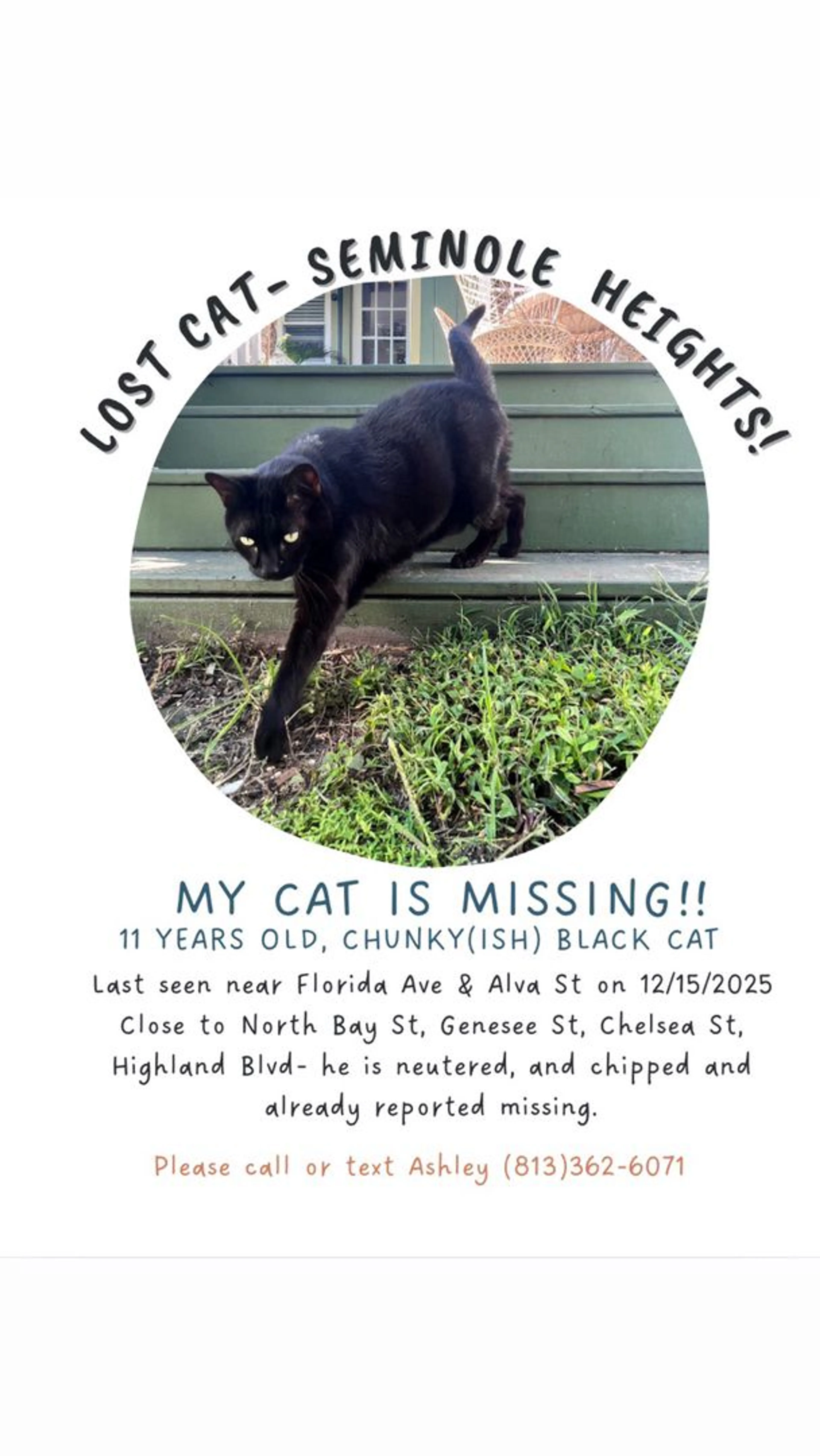 Lost pet-4