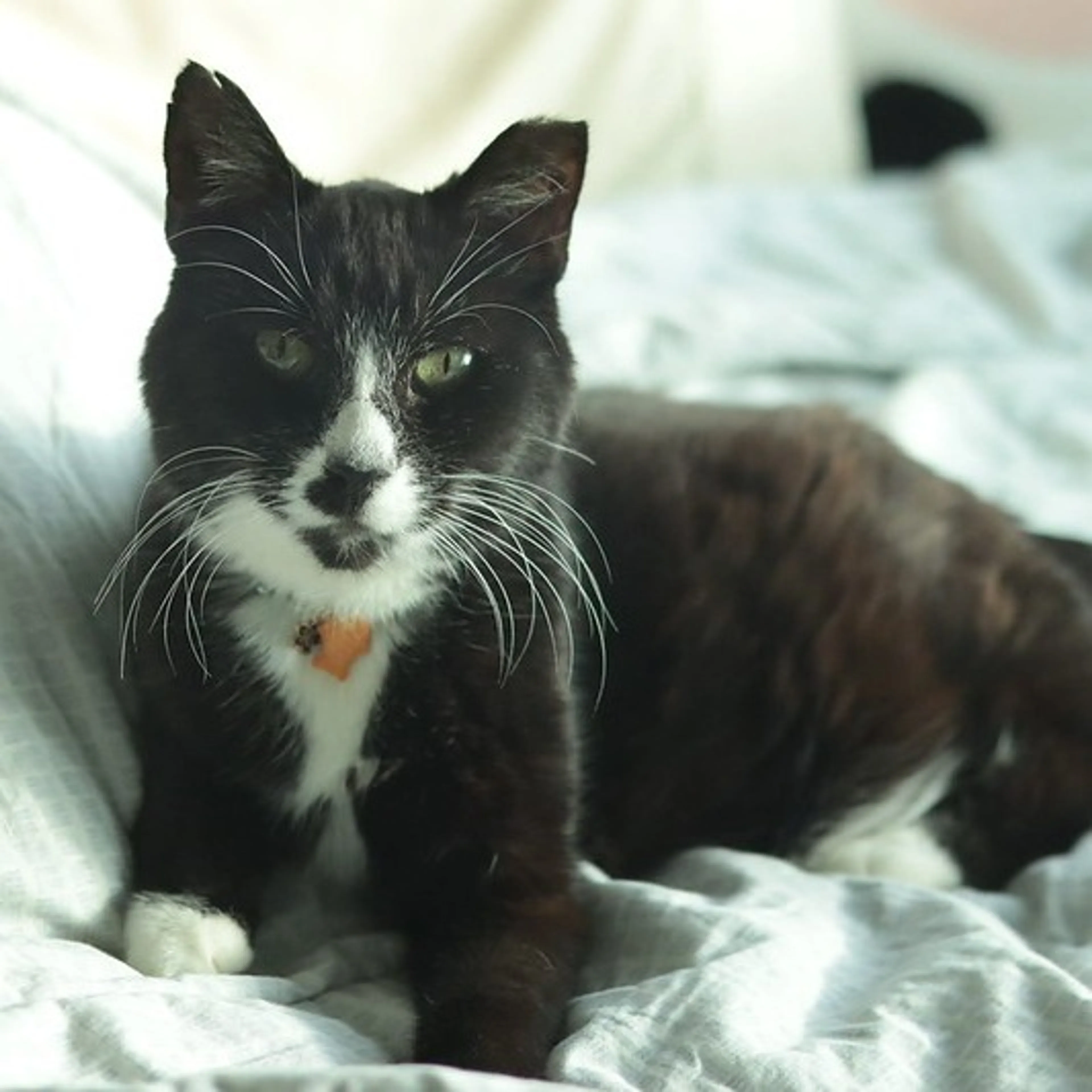 -14