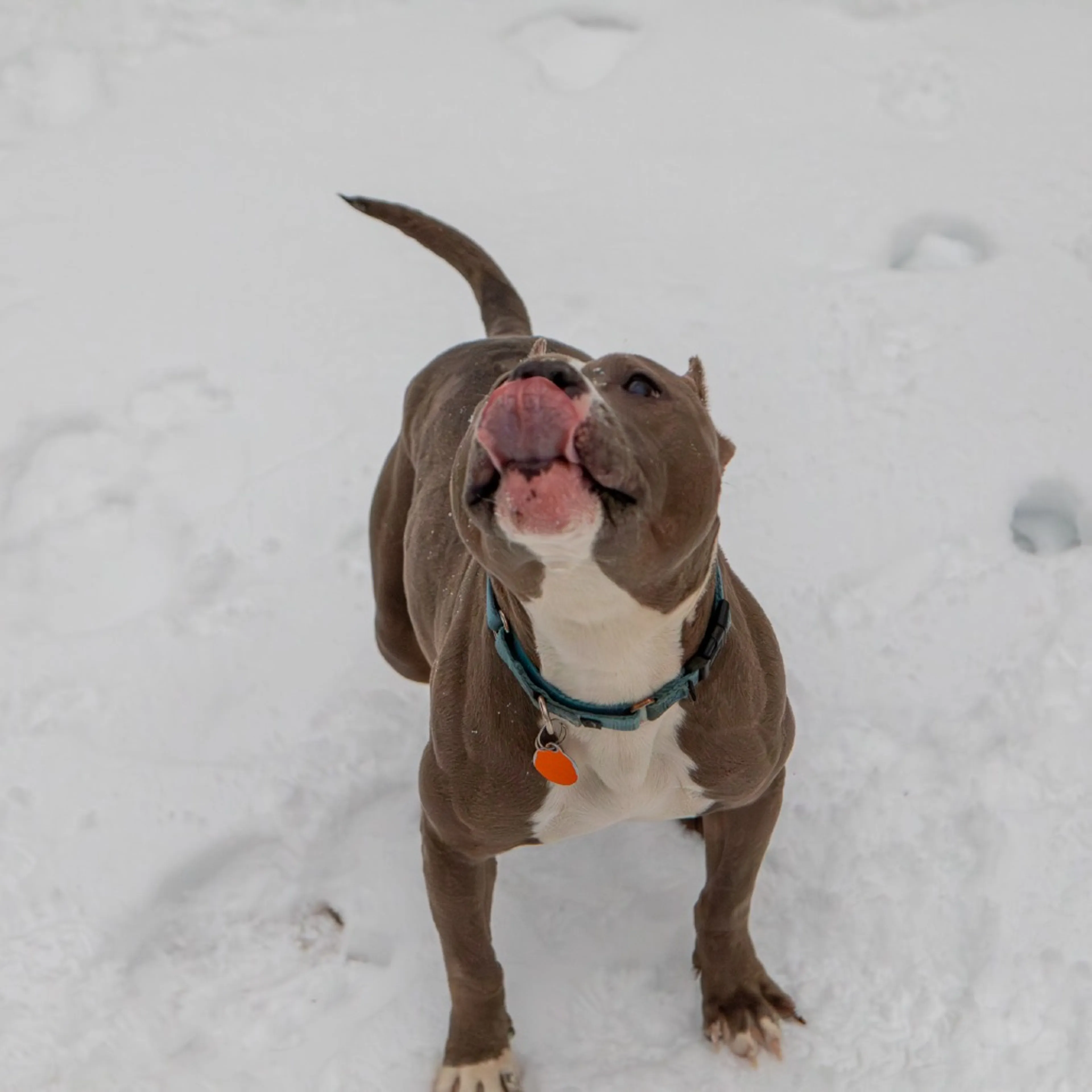 -9