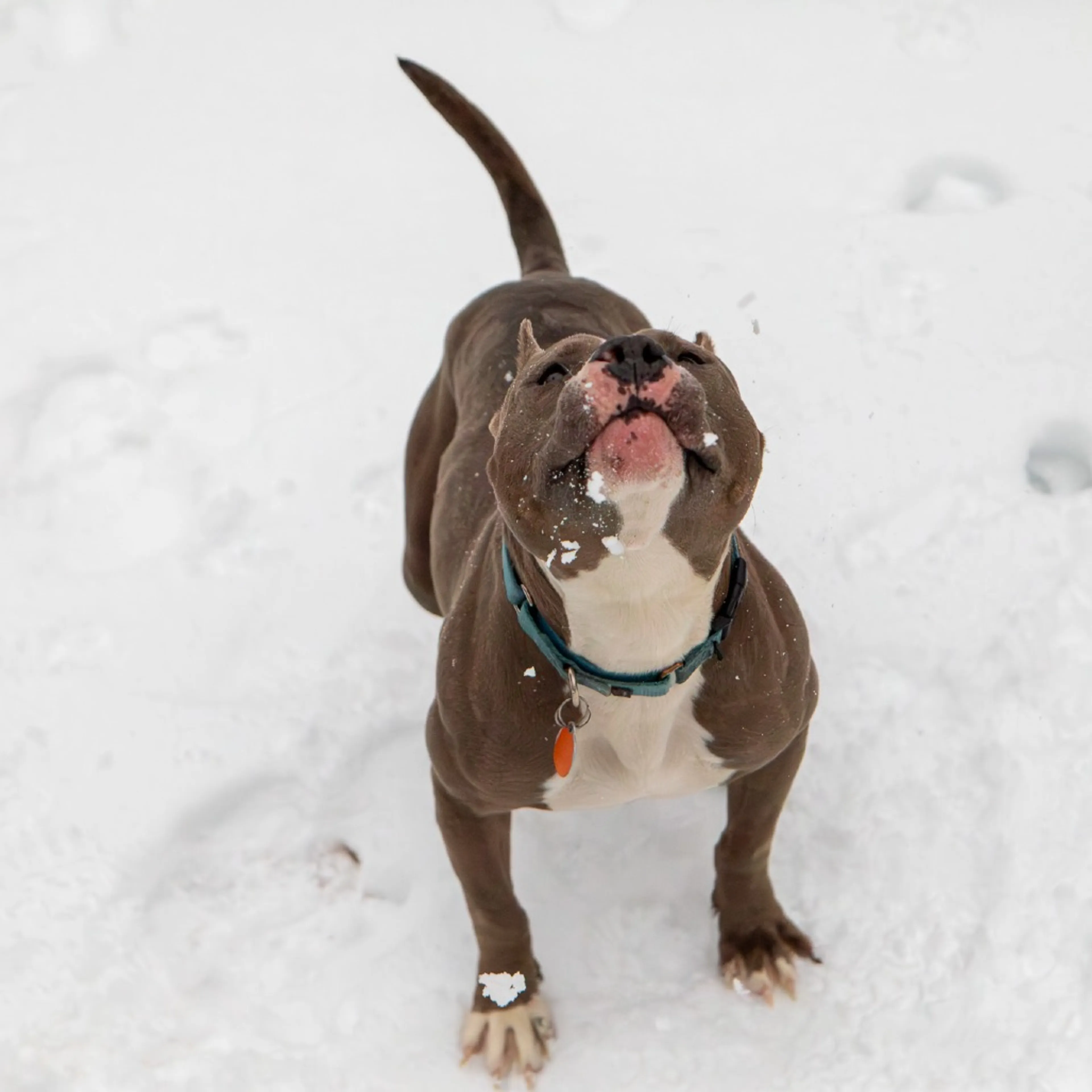 -10
