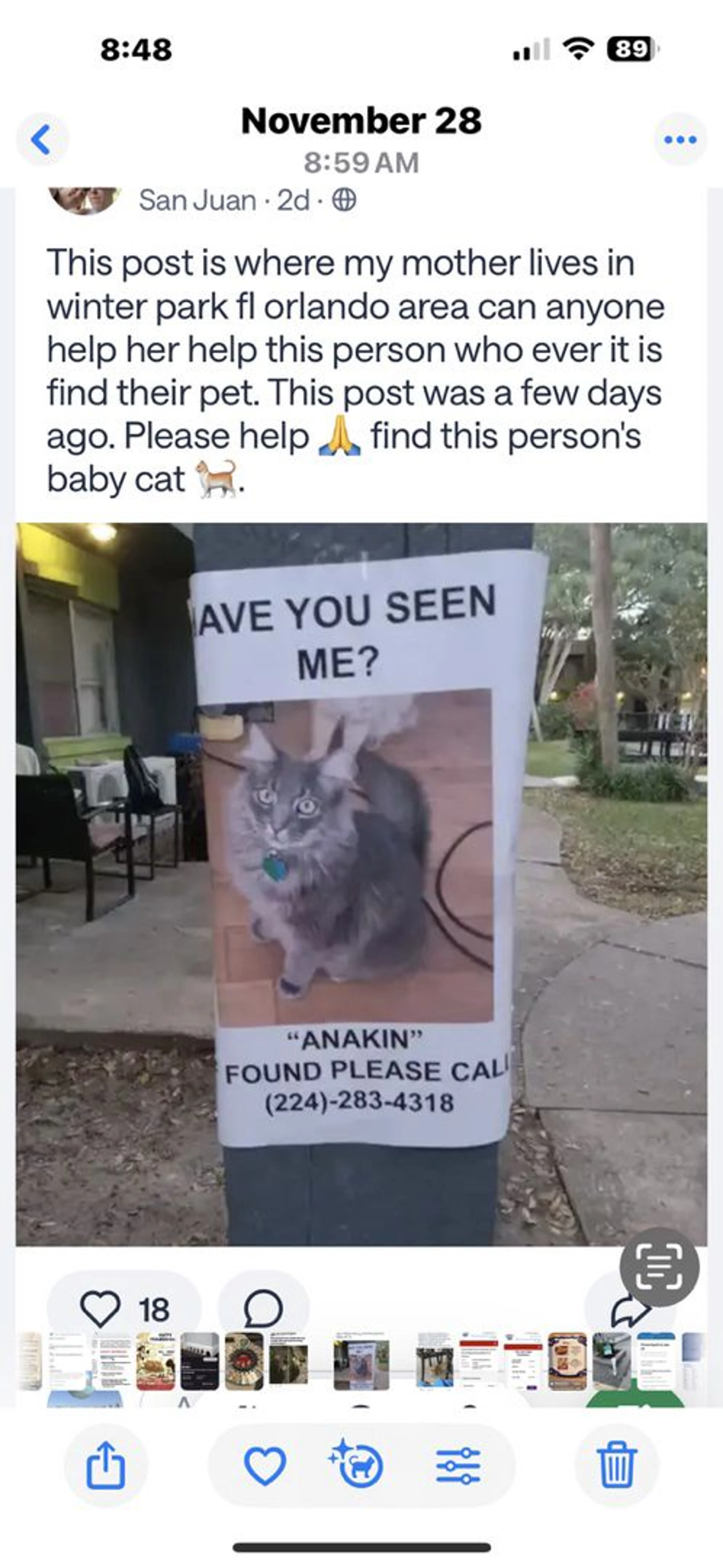 Lost pet
