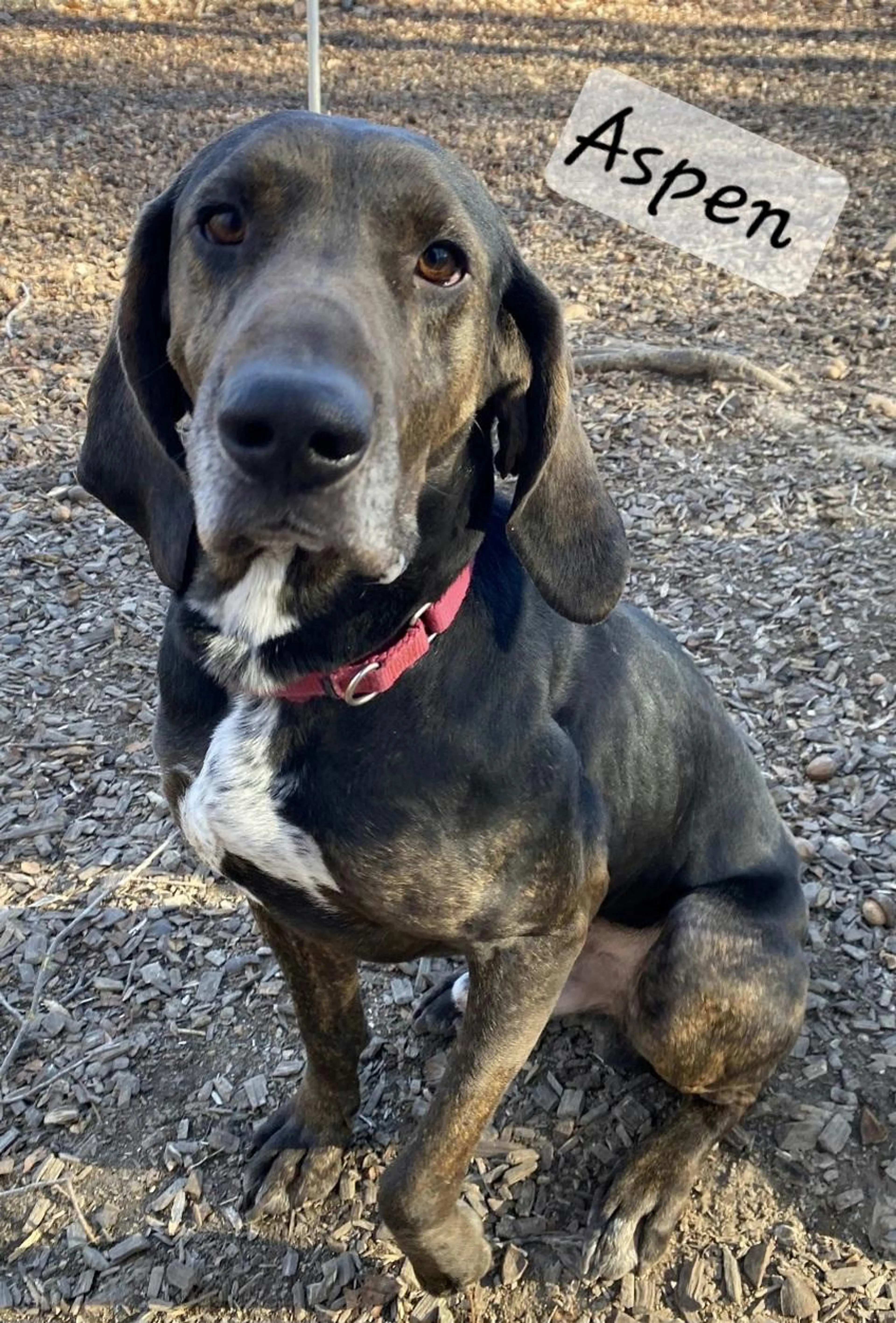 -1