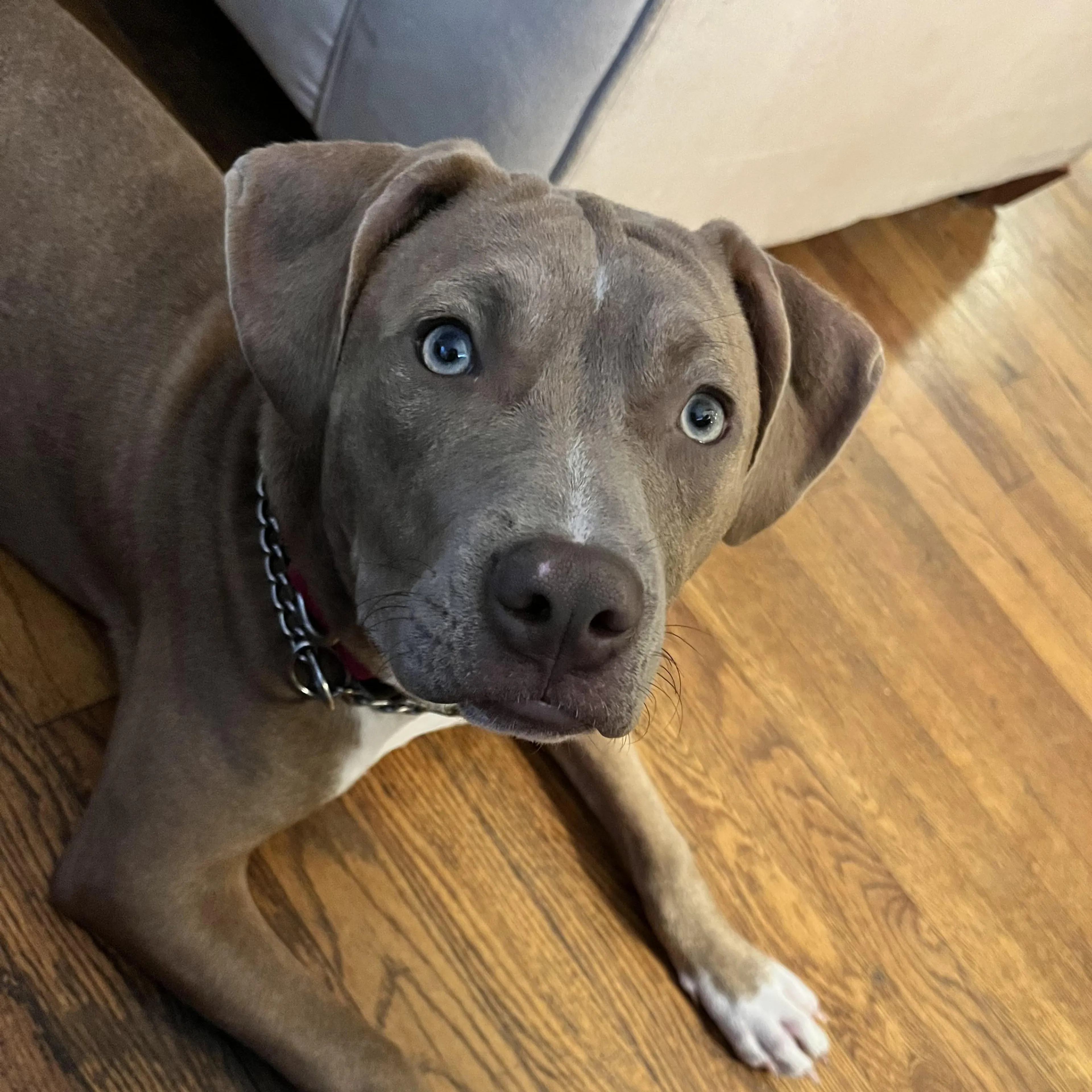 -4