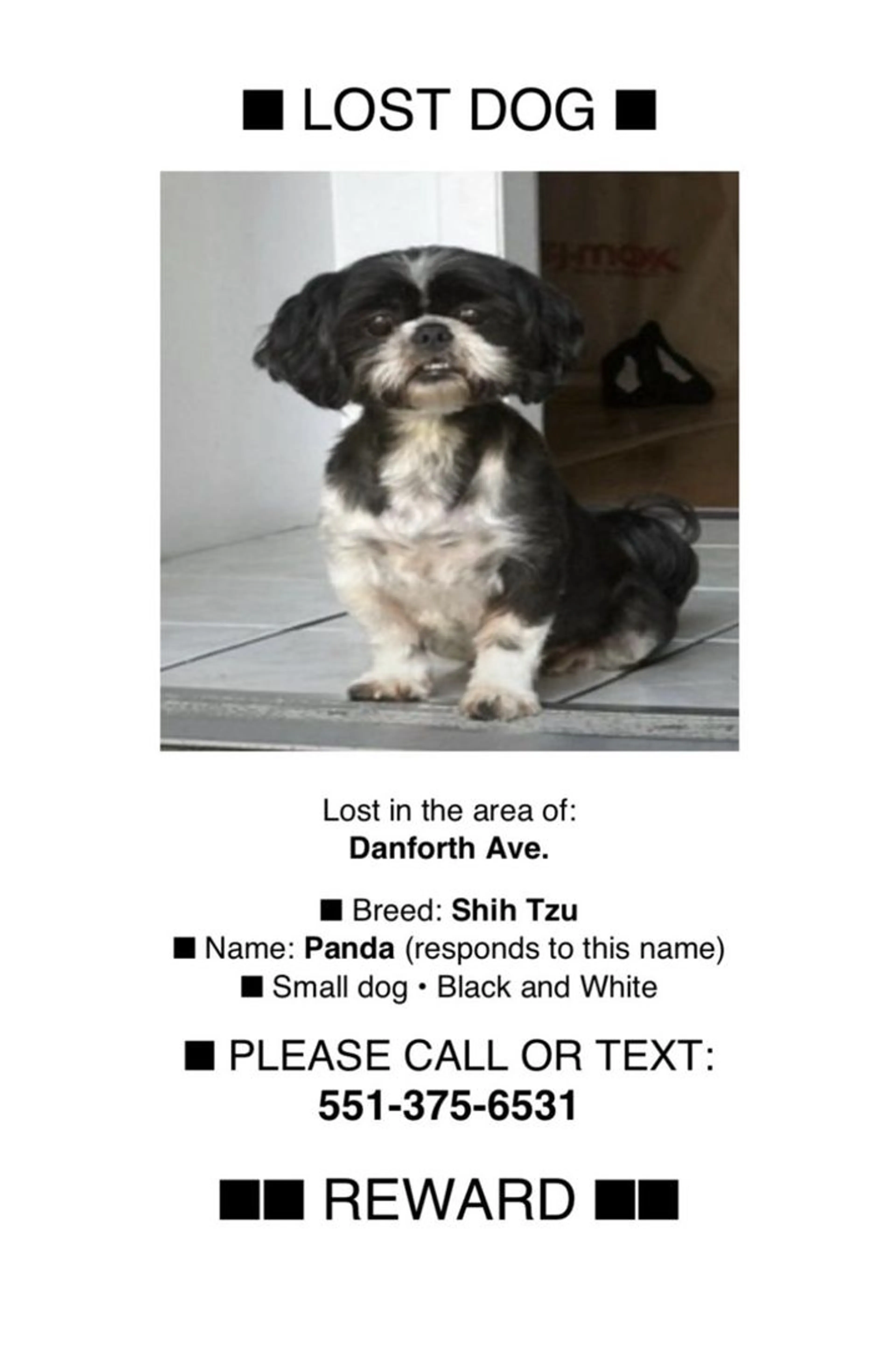 Lost pet-1