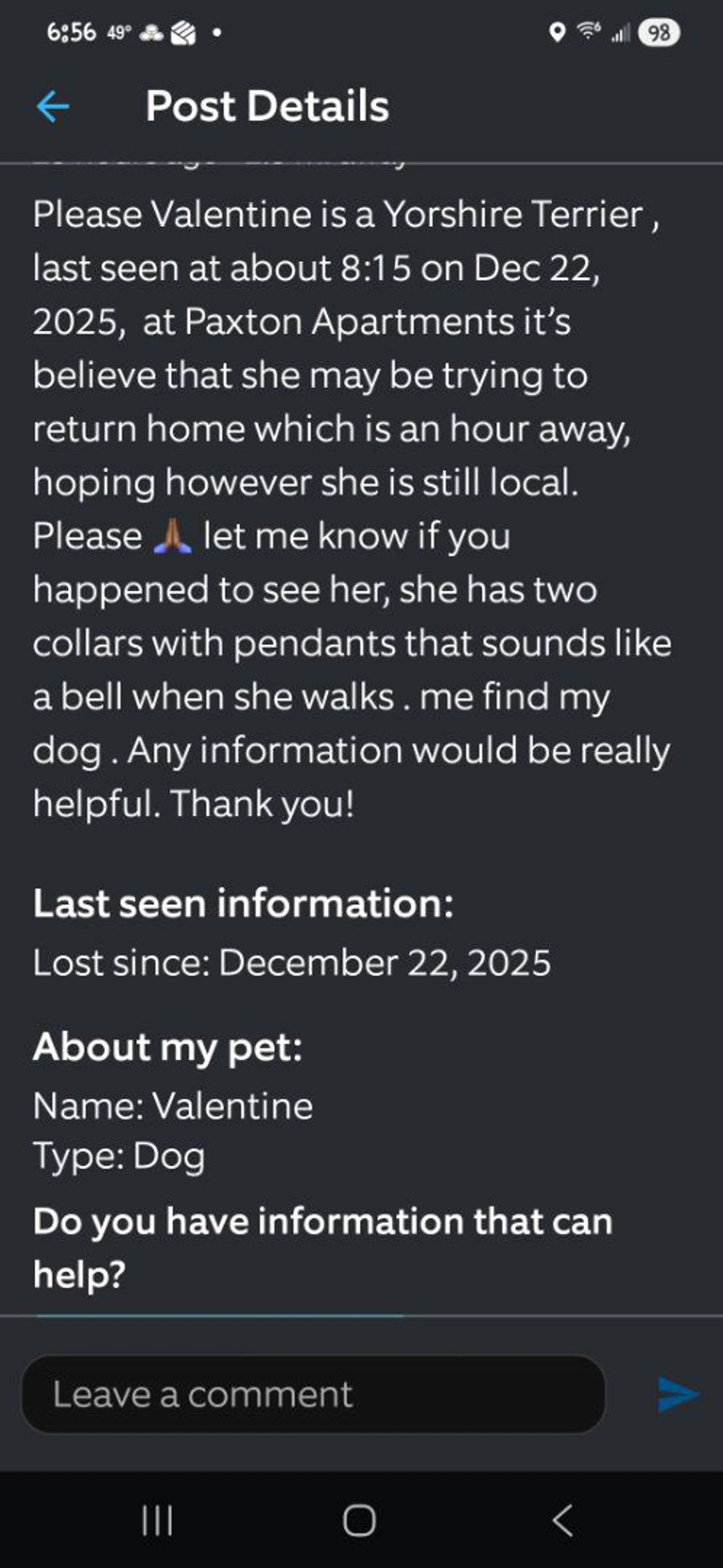 Lost pet-1