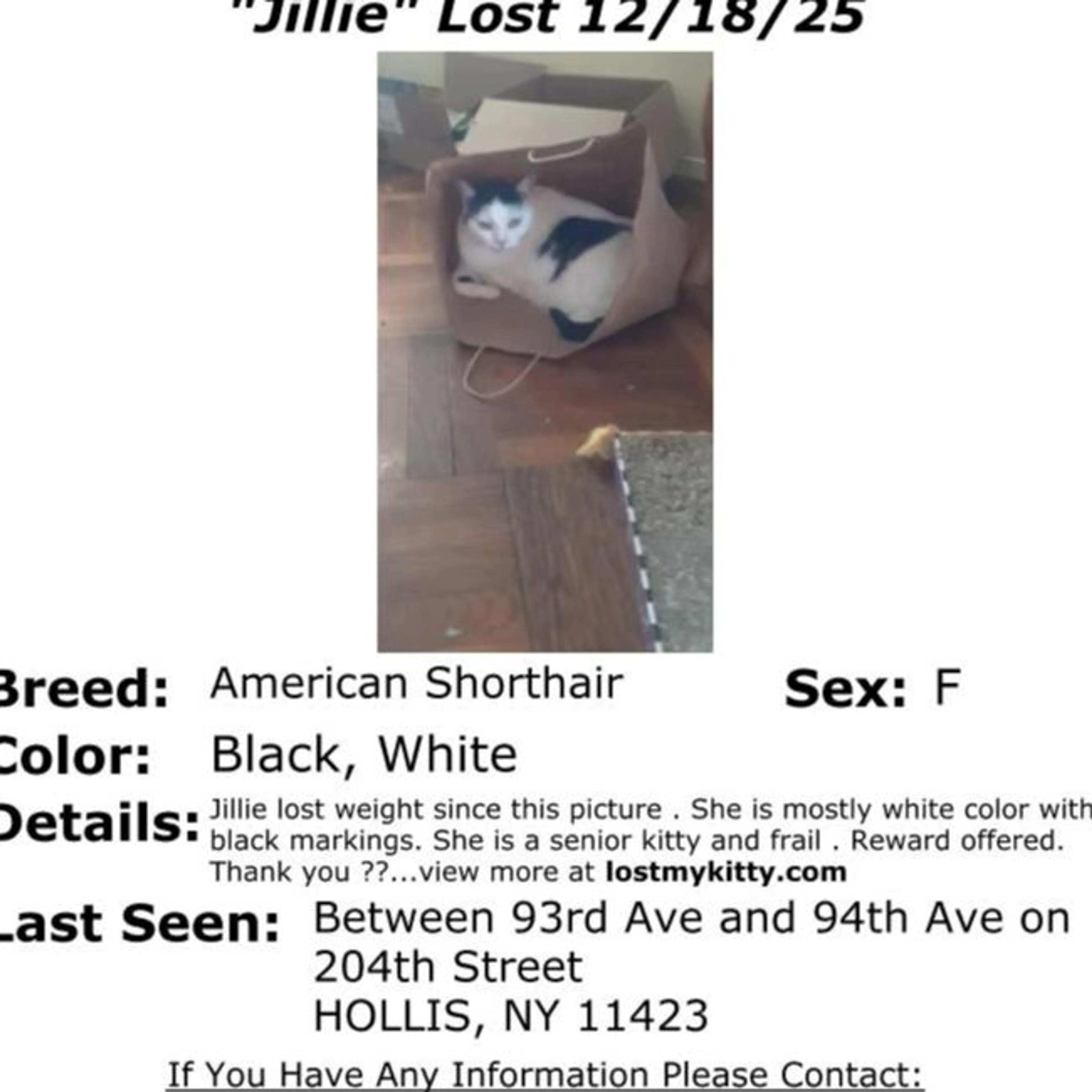 Lost pet