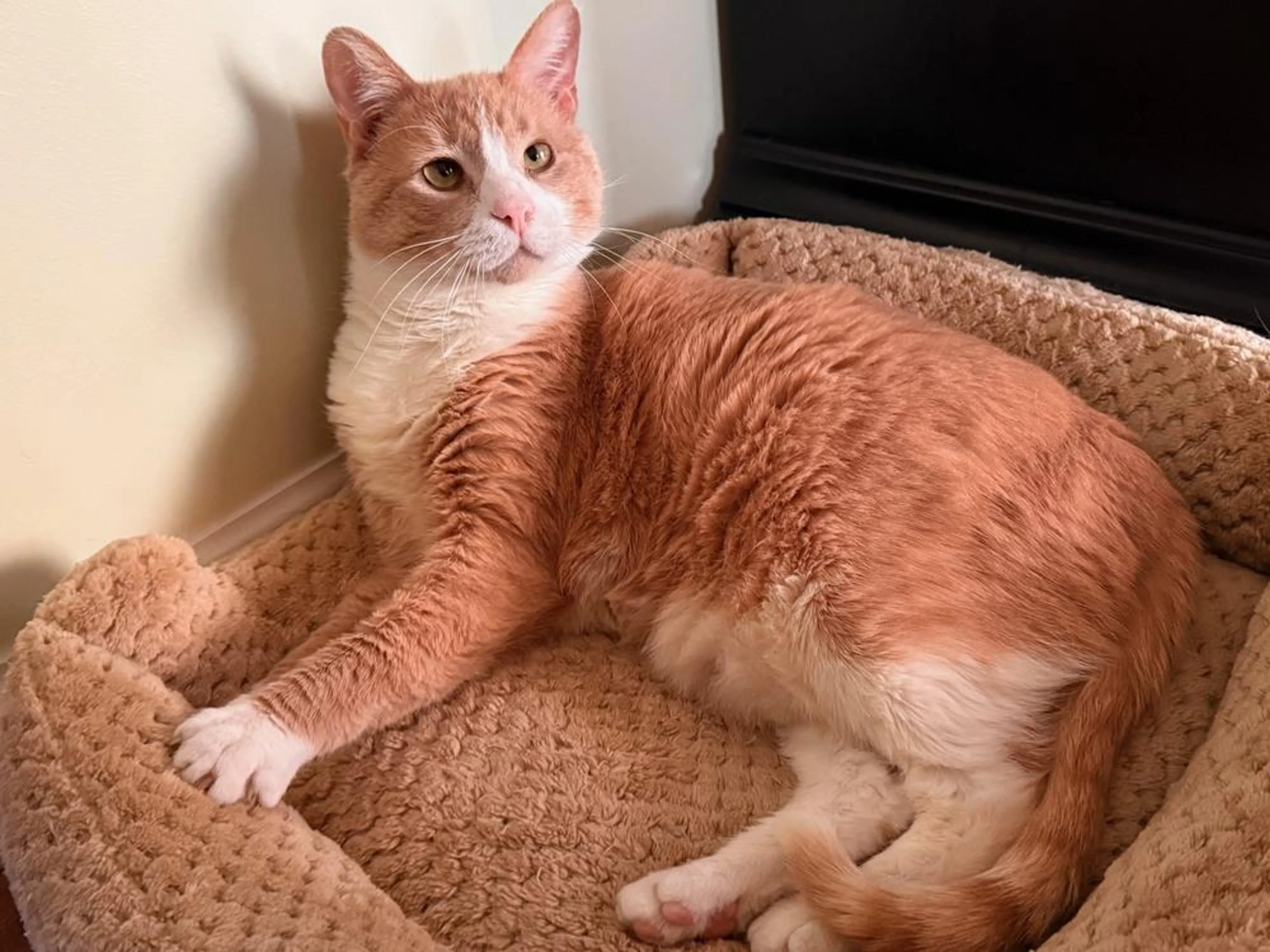-2