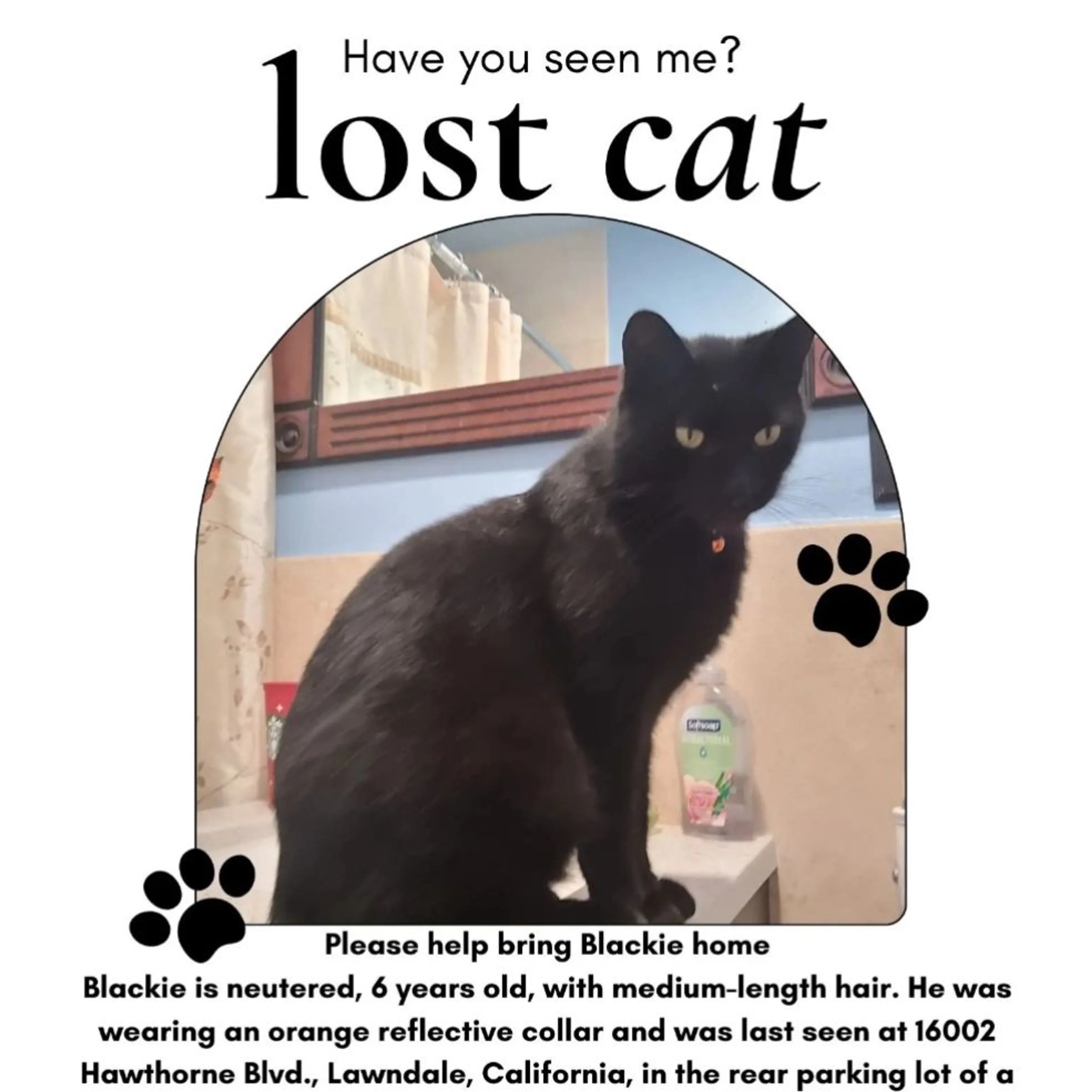 Lost pet