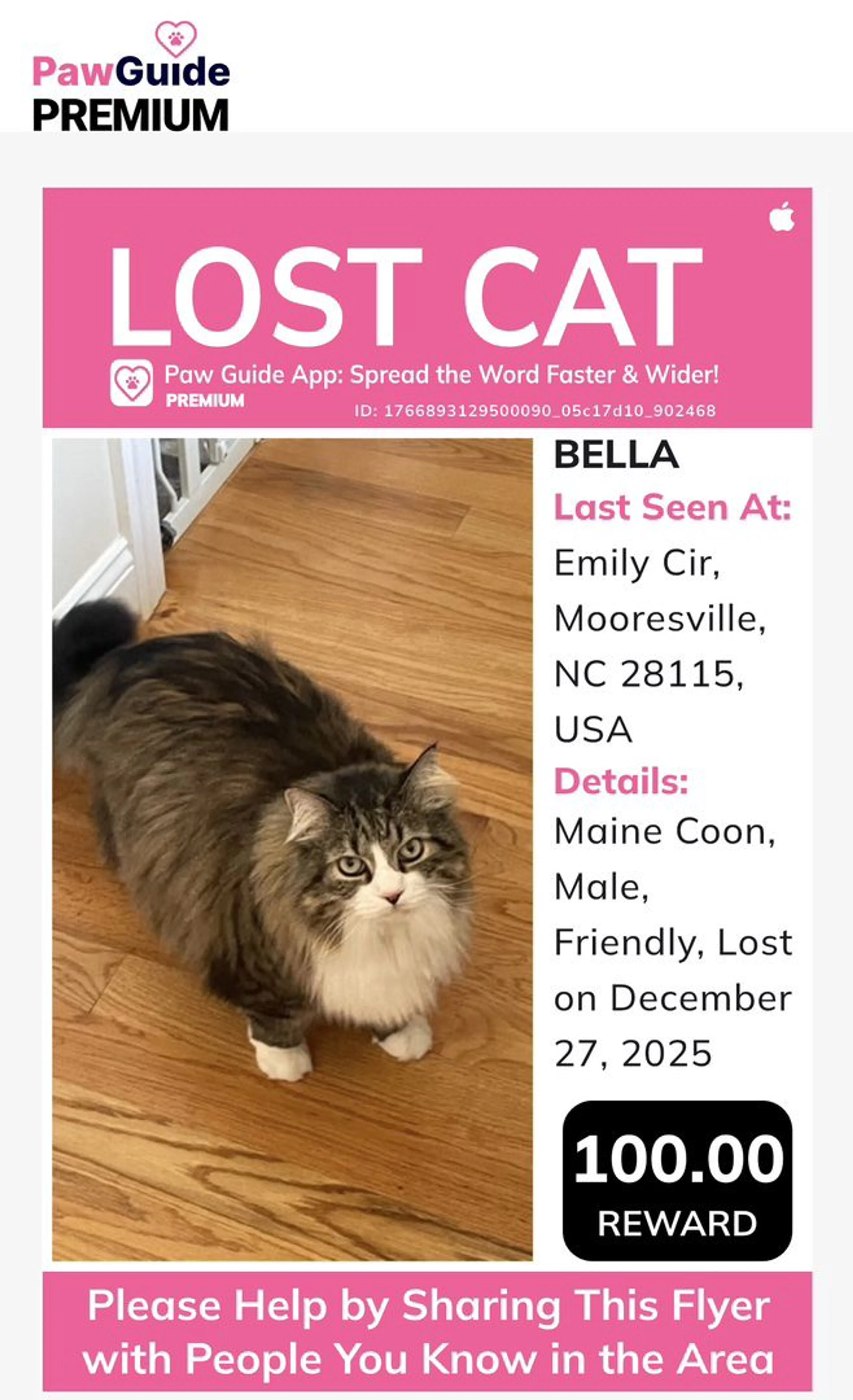 Lost pet
