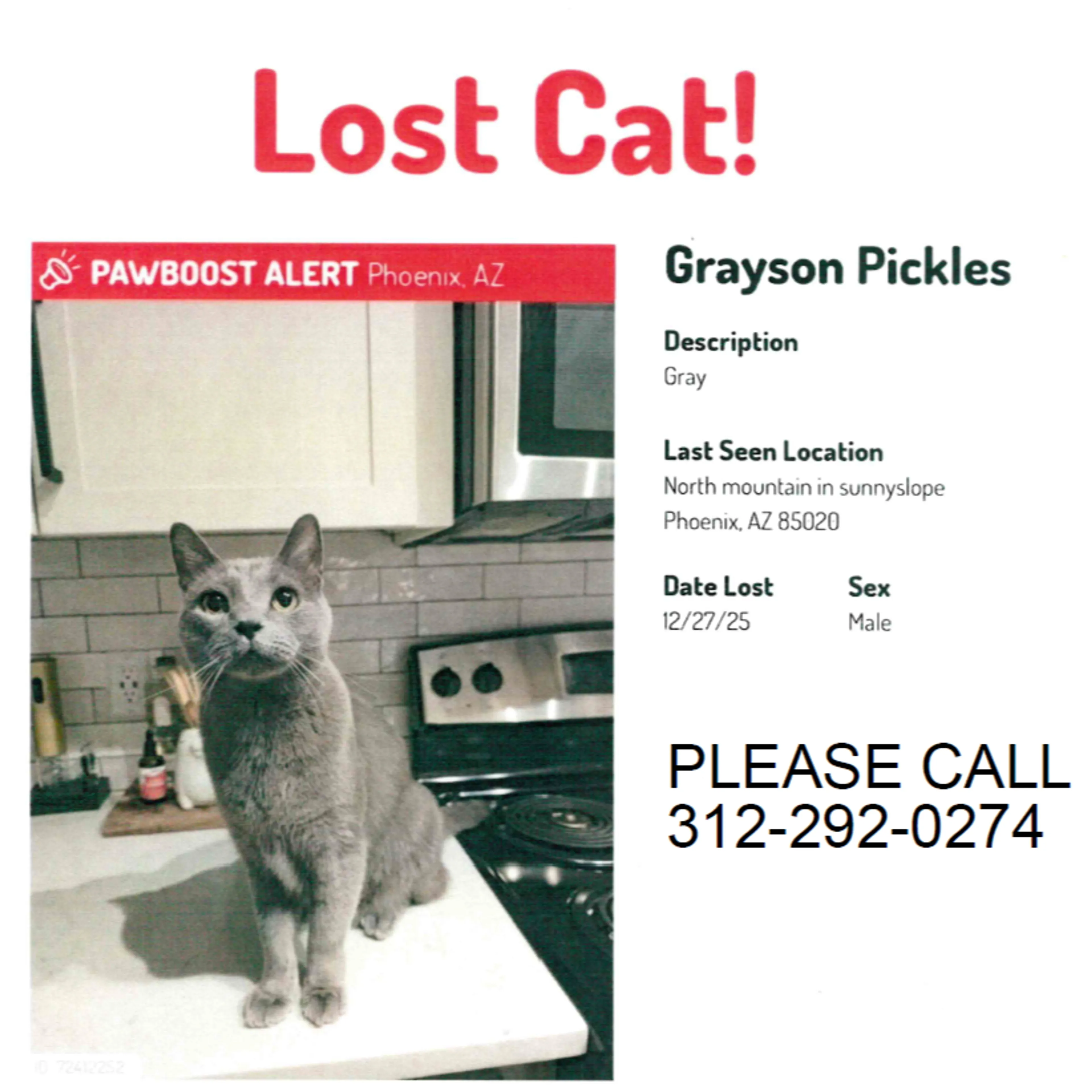Lost pet-0