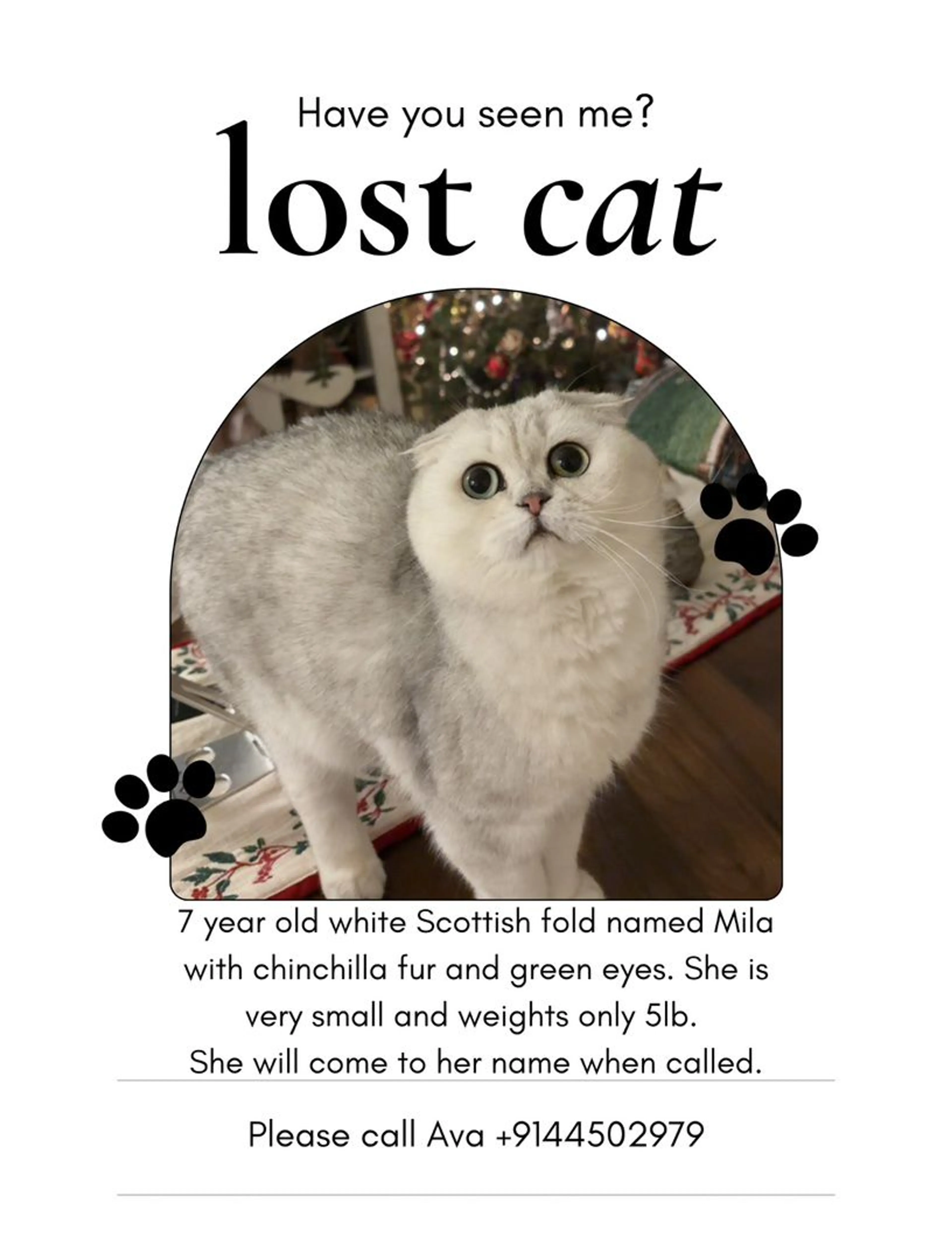 Lost pet
