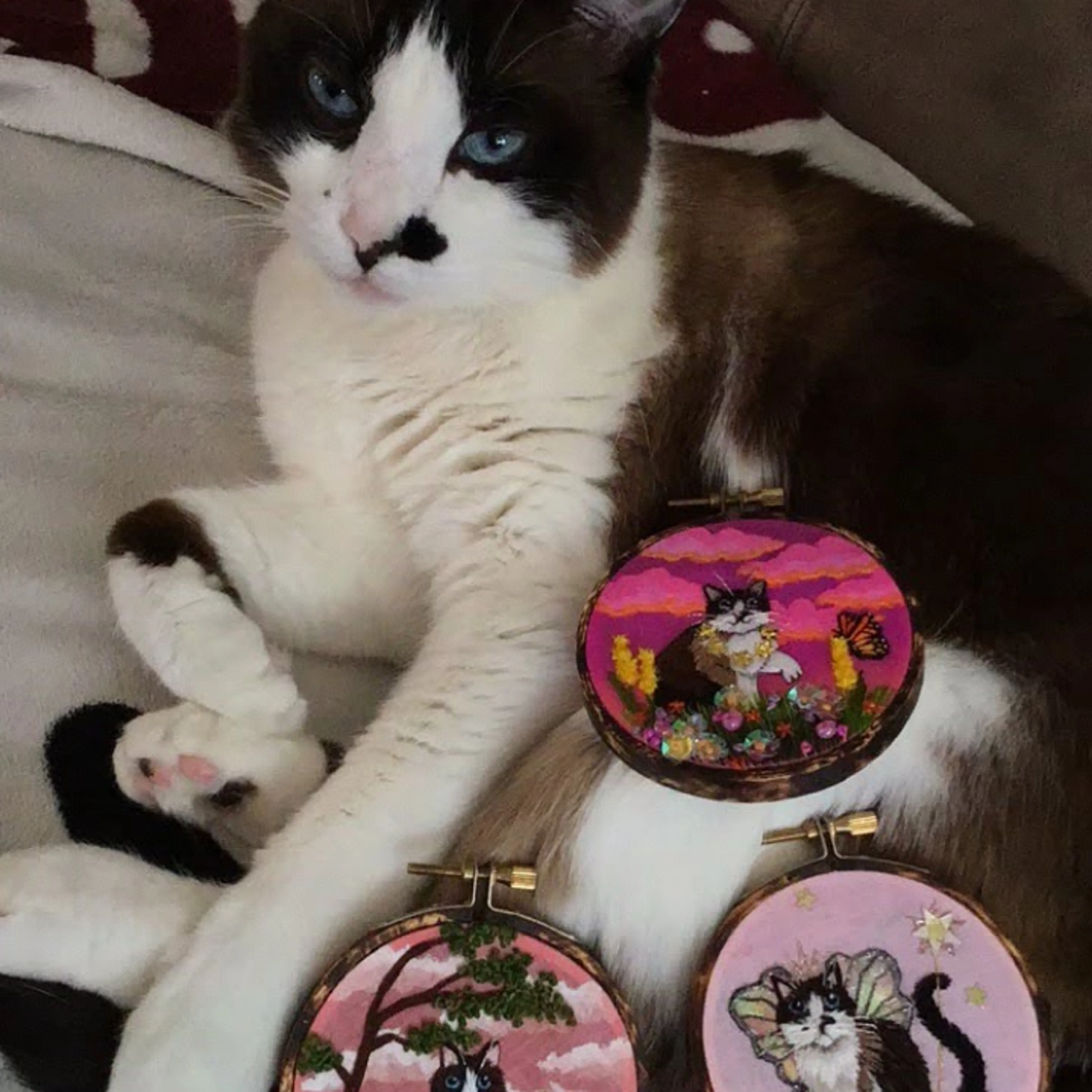 Lost pet-2