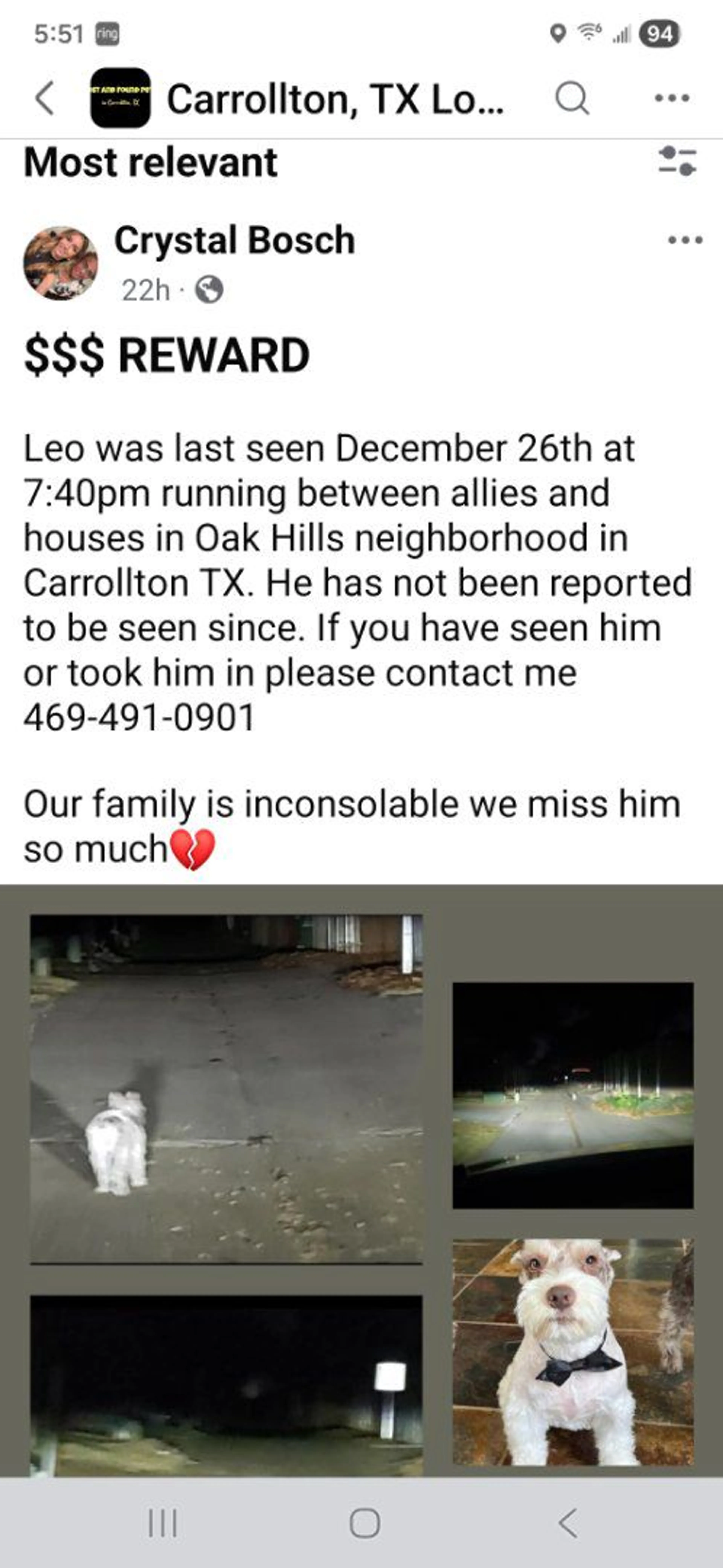 Lost pet
