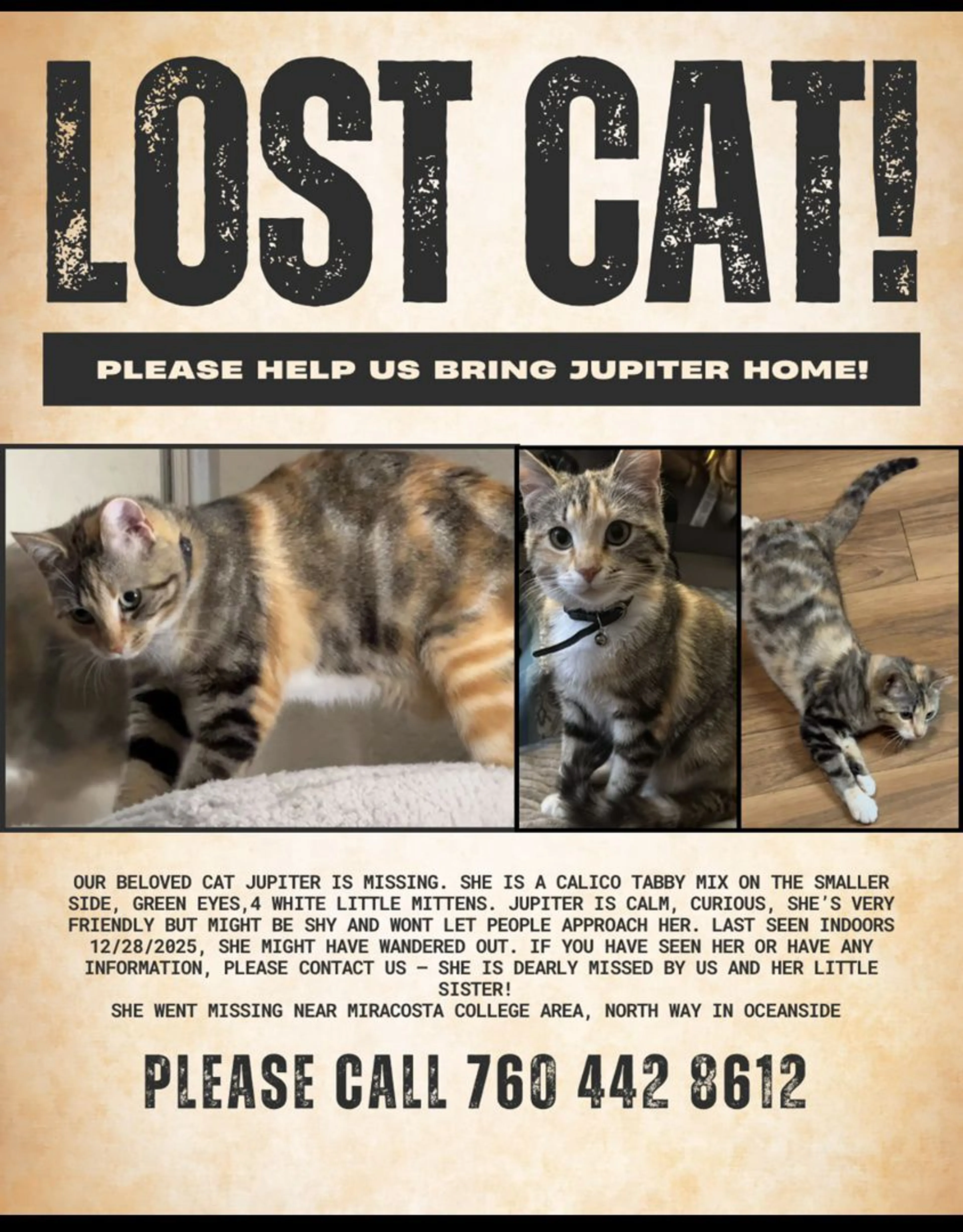 Lost pet
