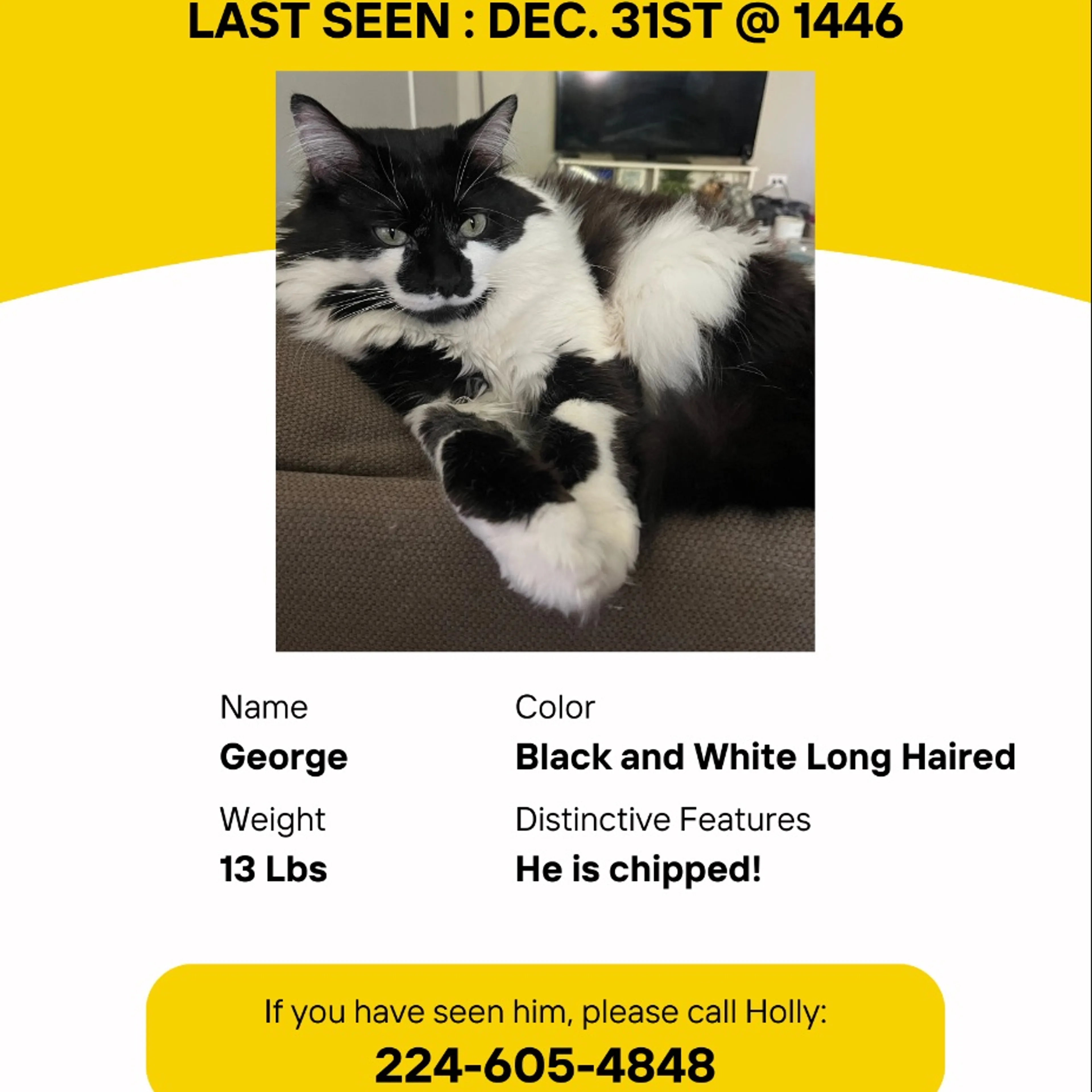 Lost pet
