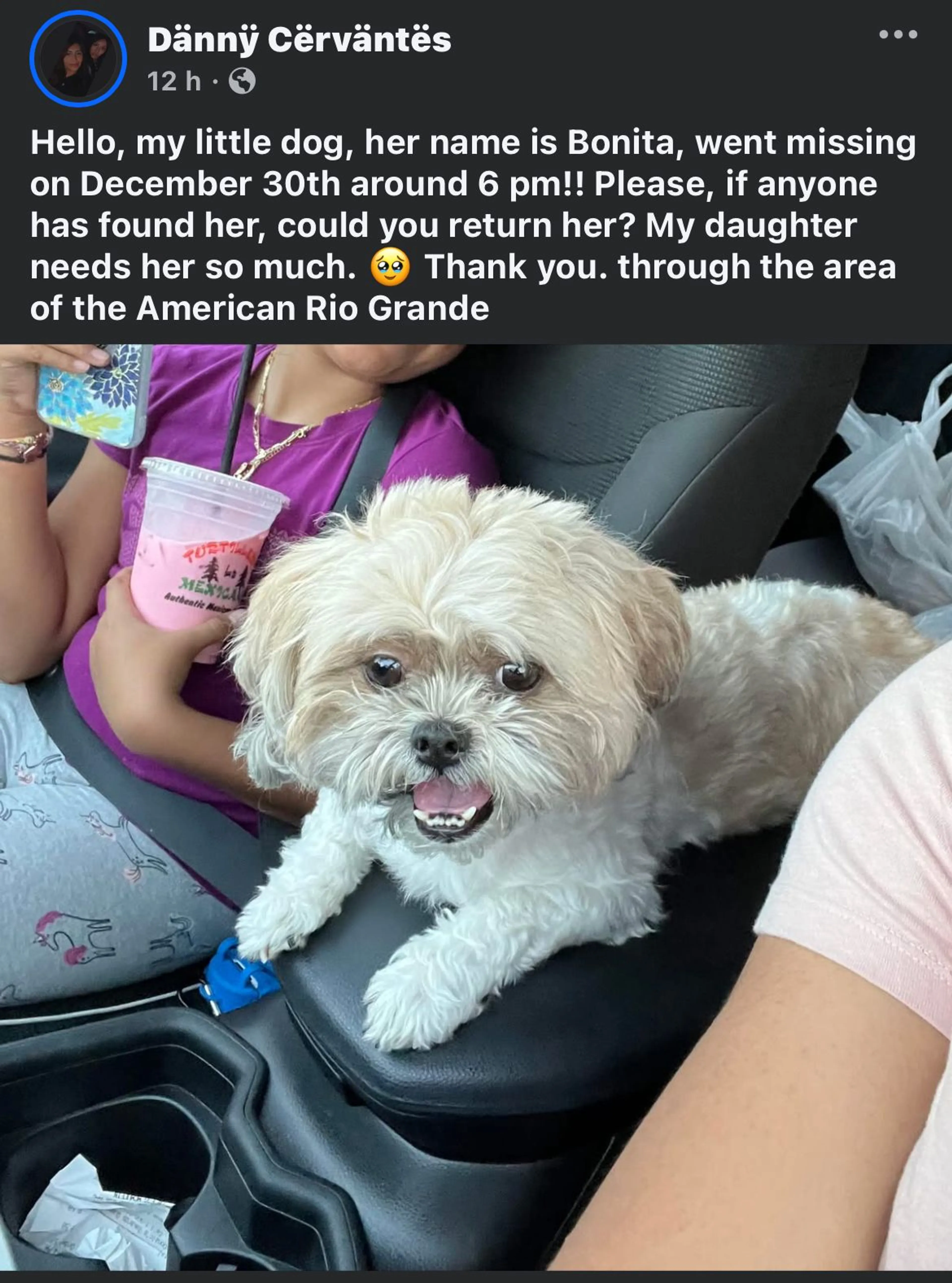 Lost pet