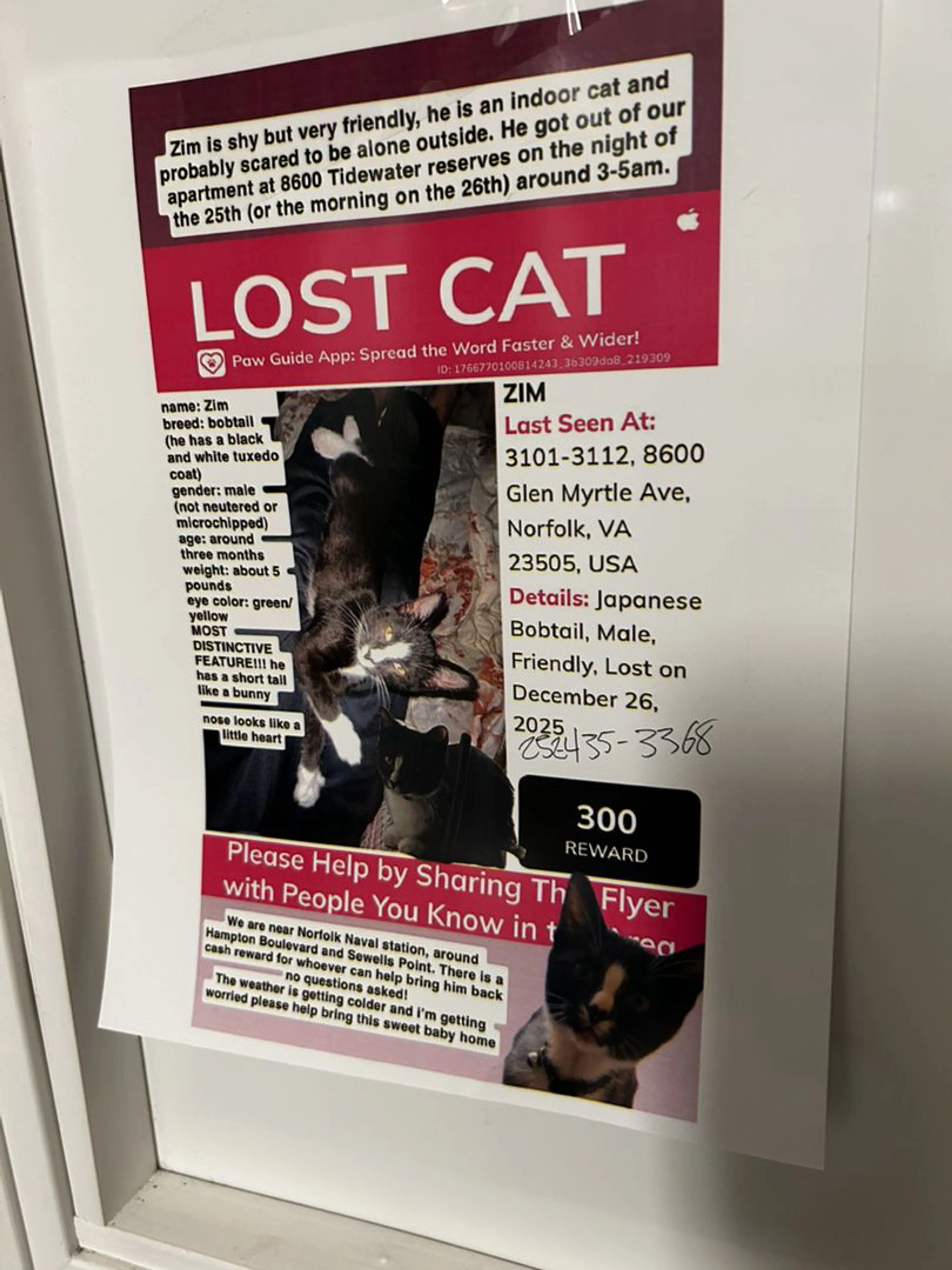 Lost pet
