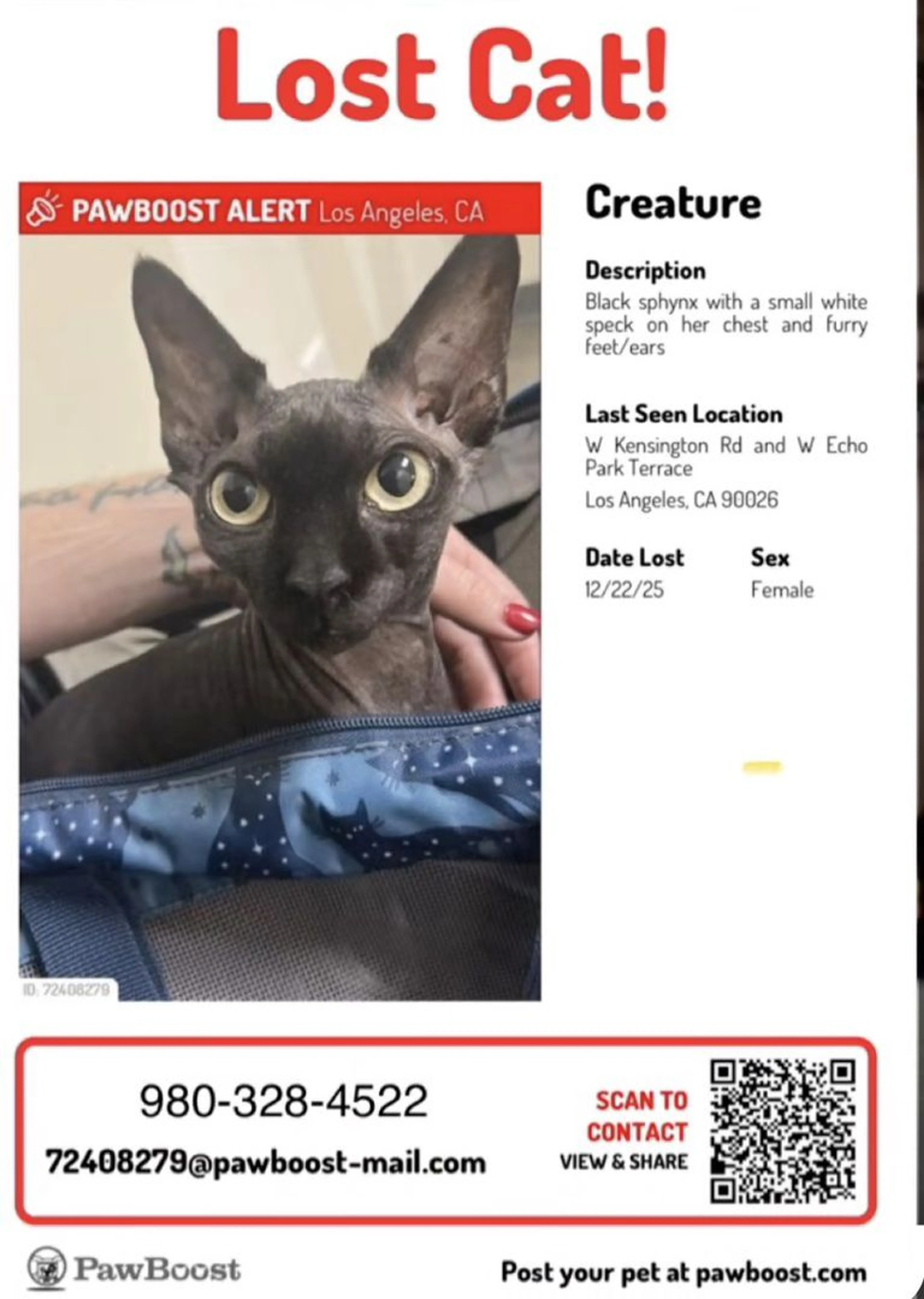 Lost pet