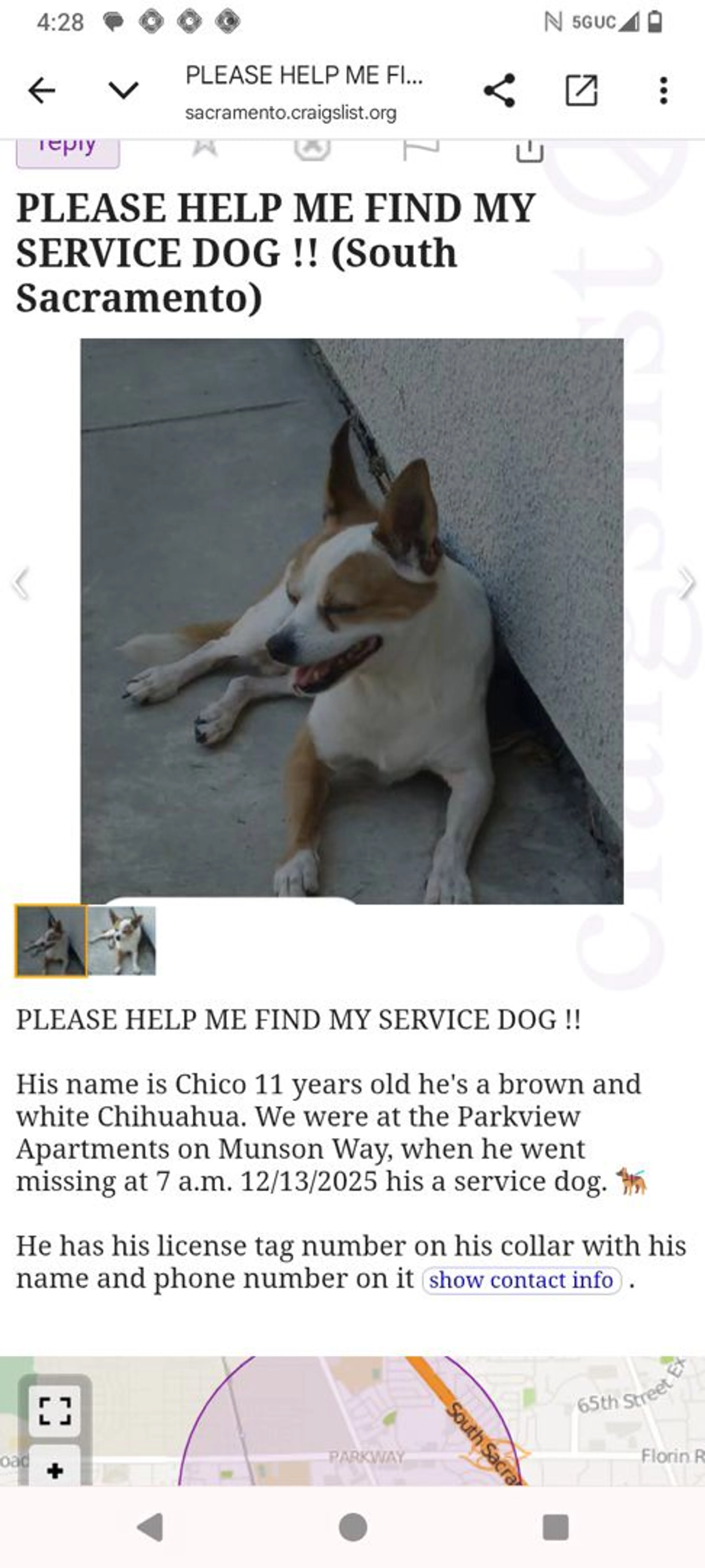 Lost pet-2