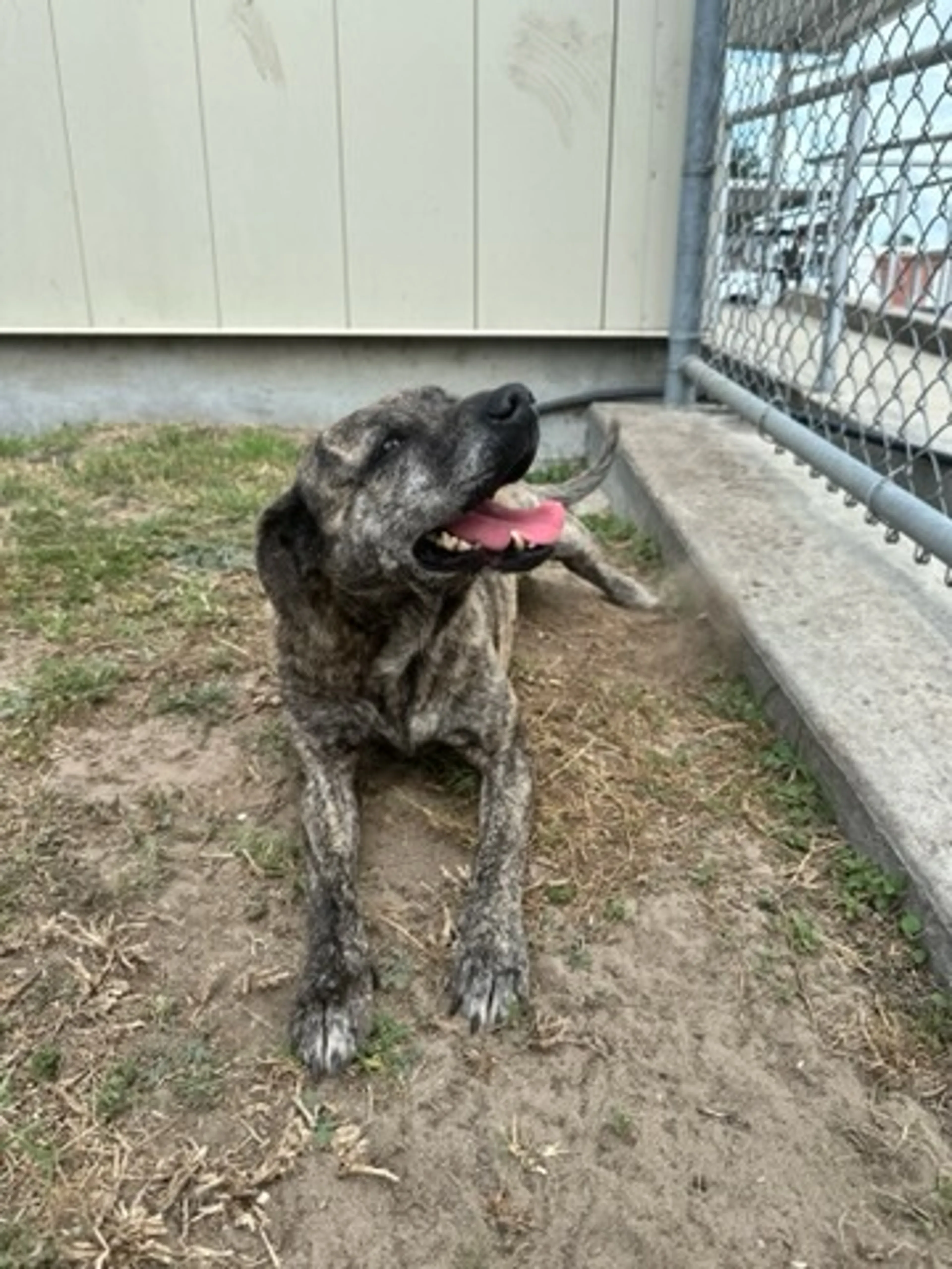 -1
