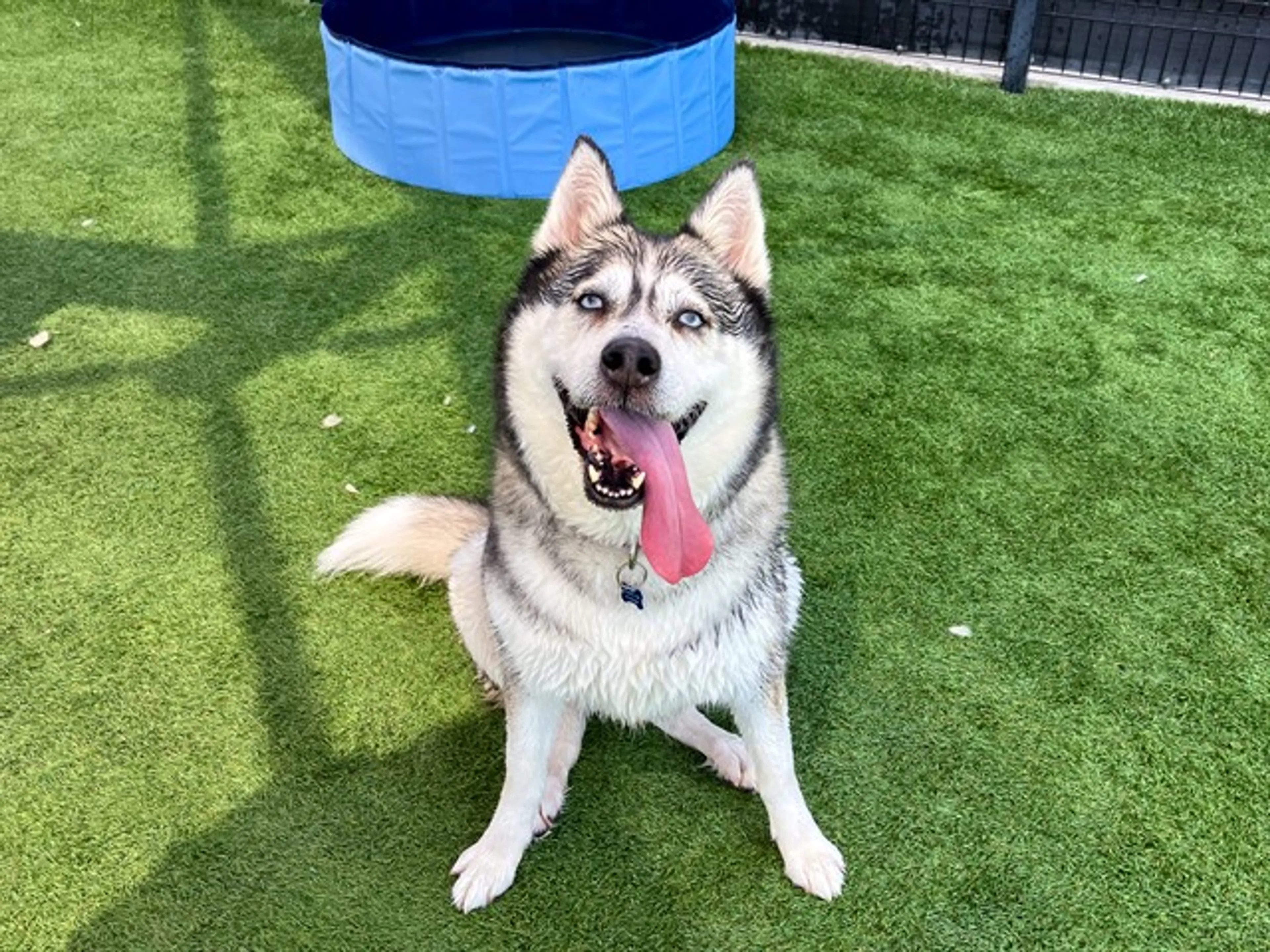 cdn image