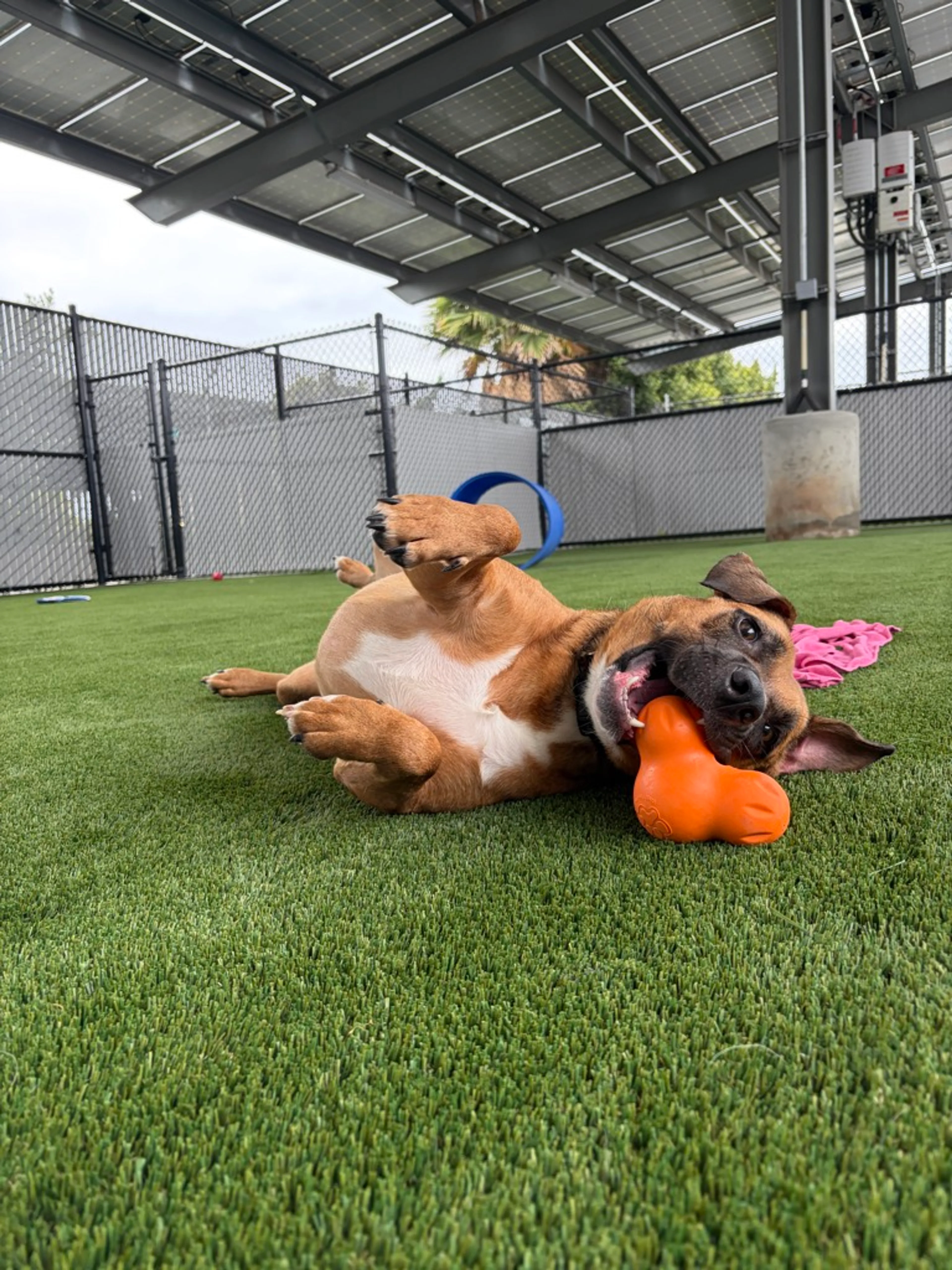 -14