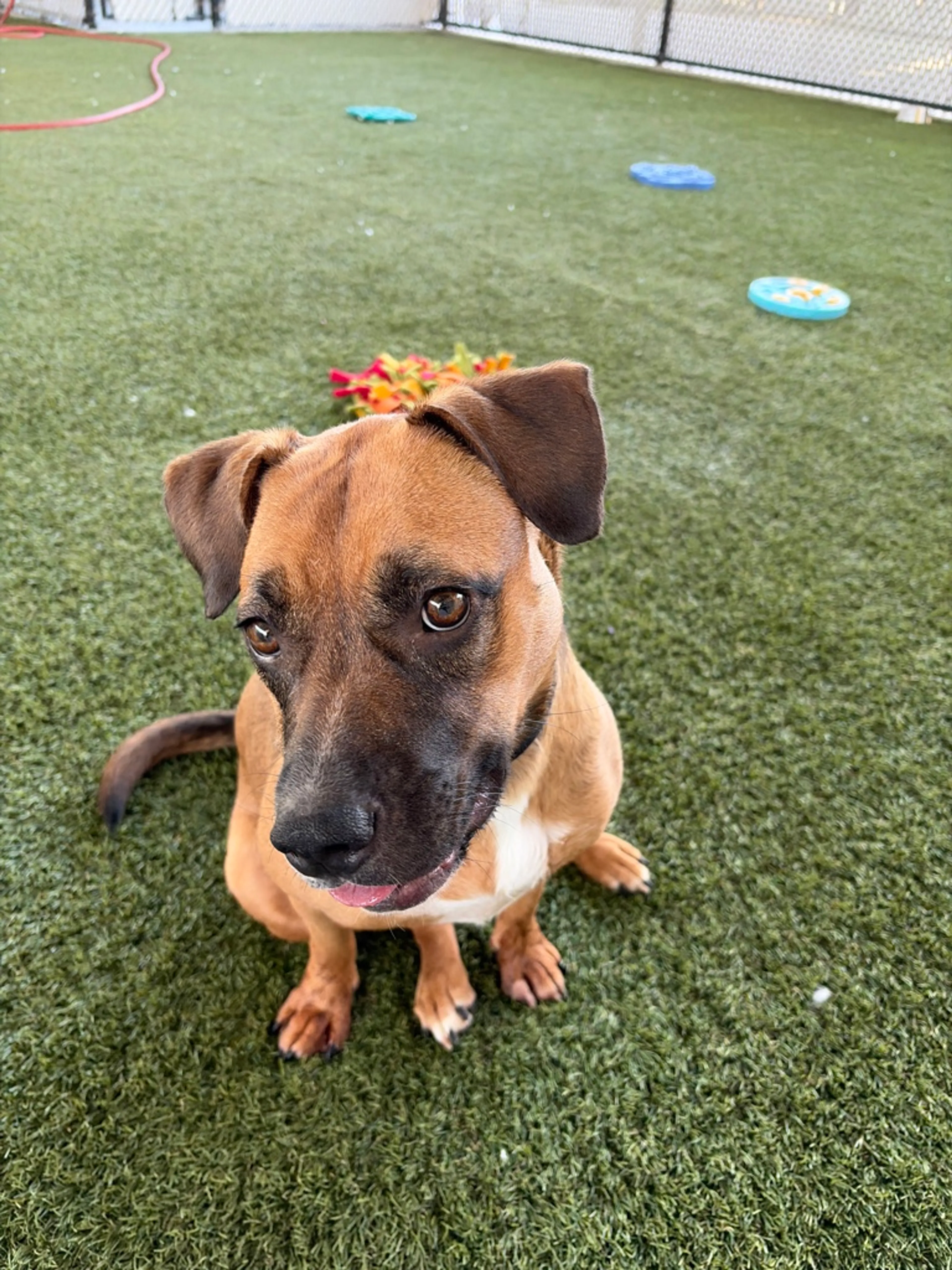-26
