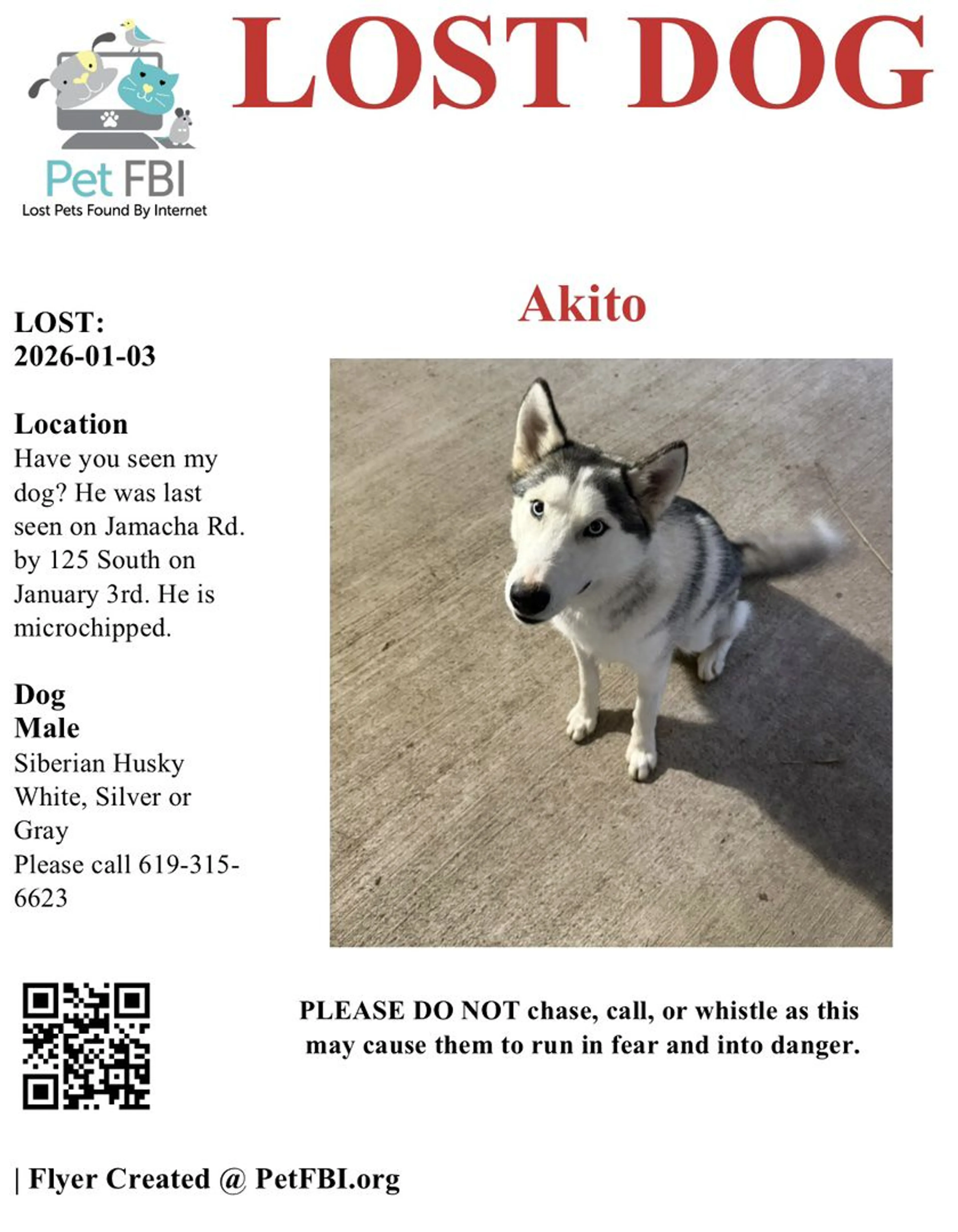 Lost pet